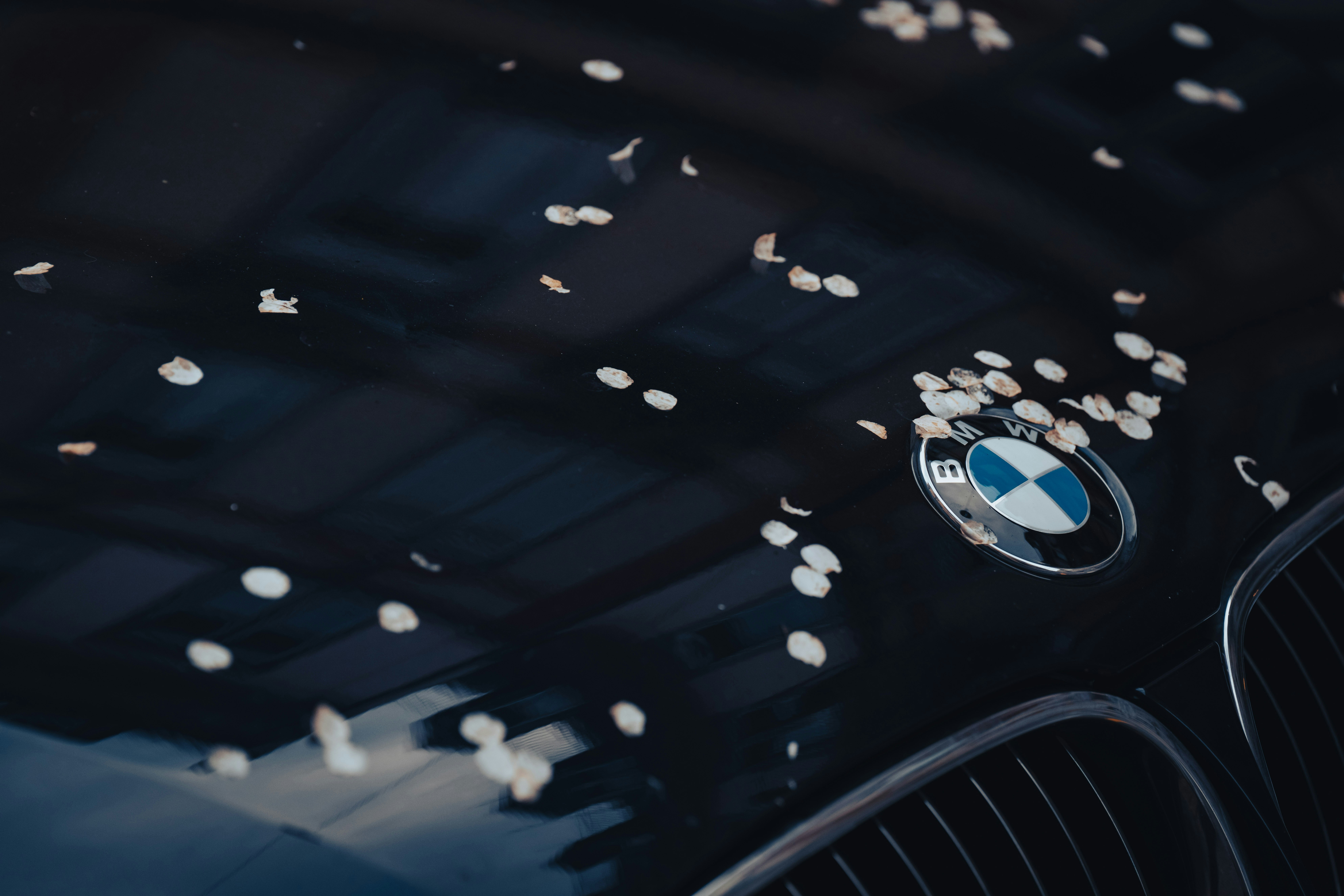 spring car maintenance