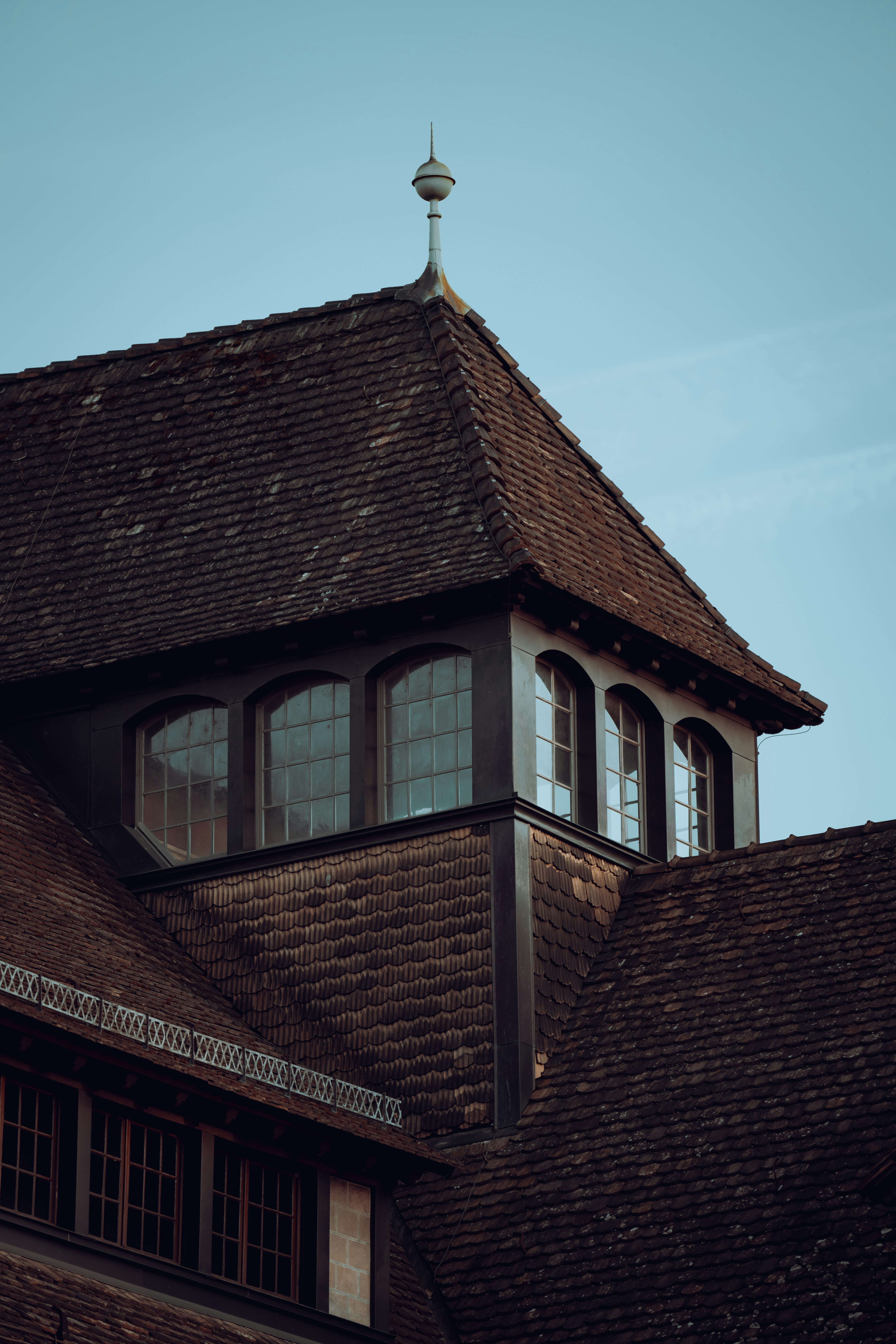 Photo by opohmelka
