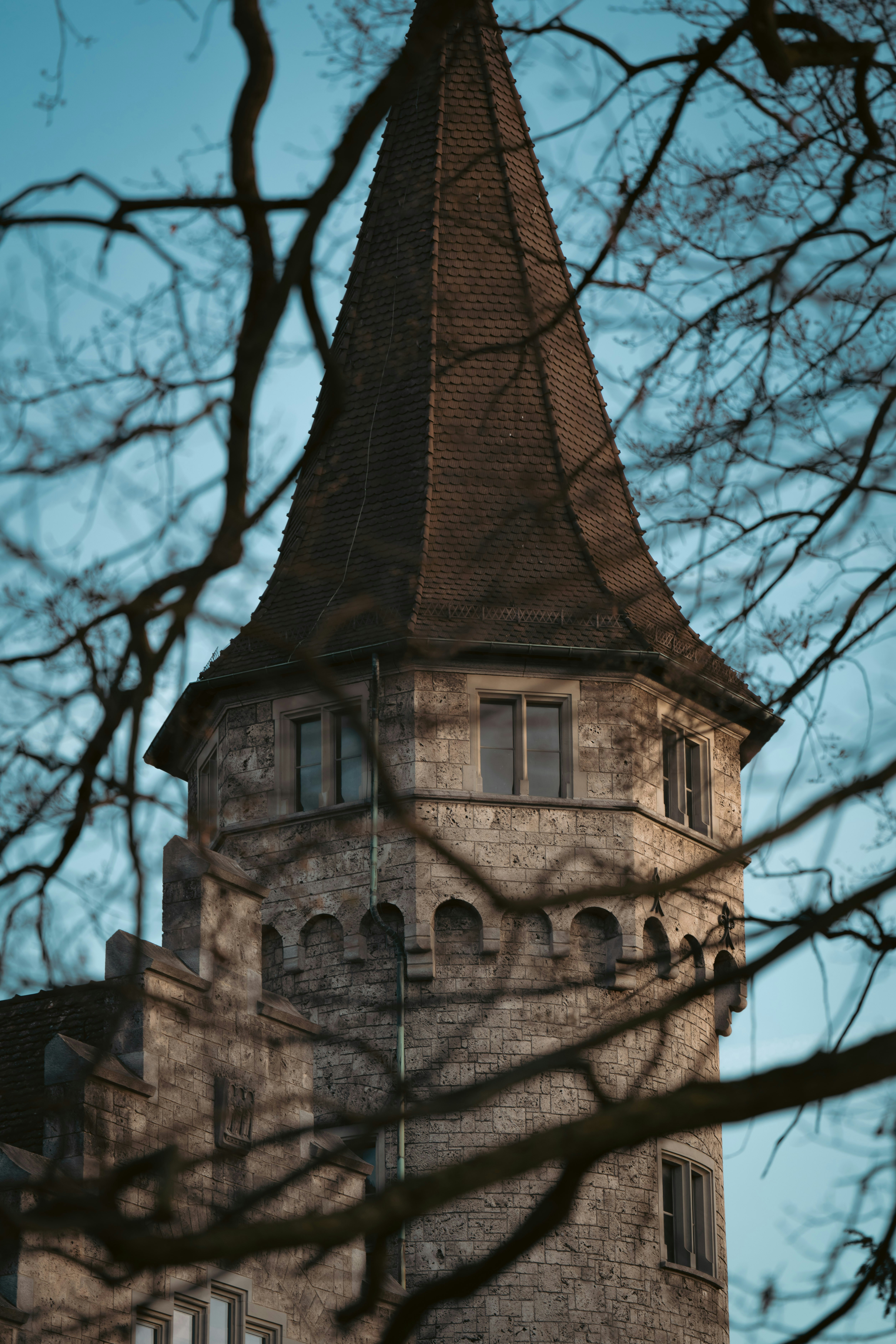 Photo by opohmelka