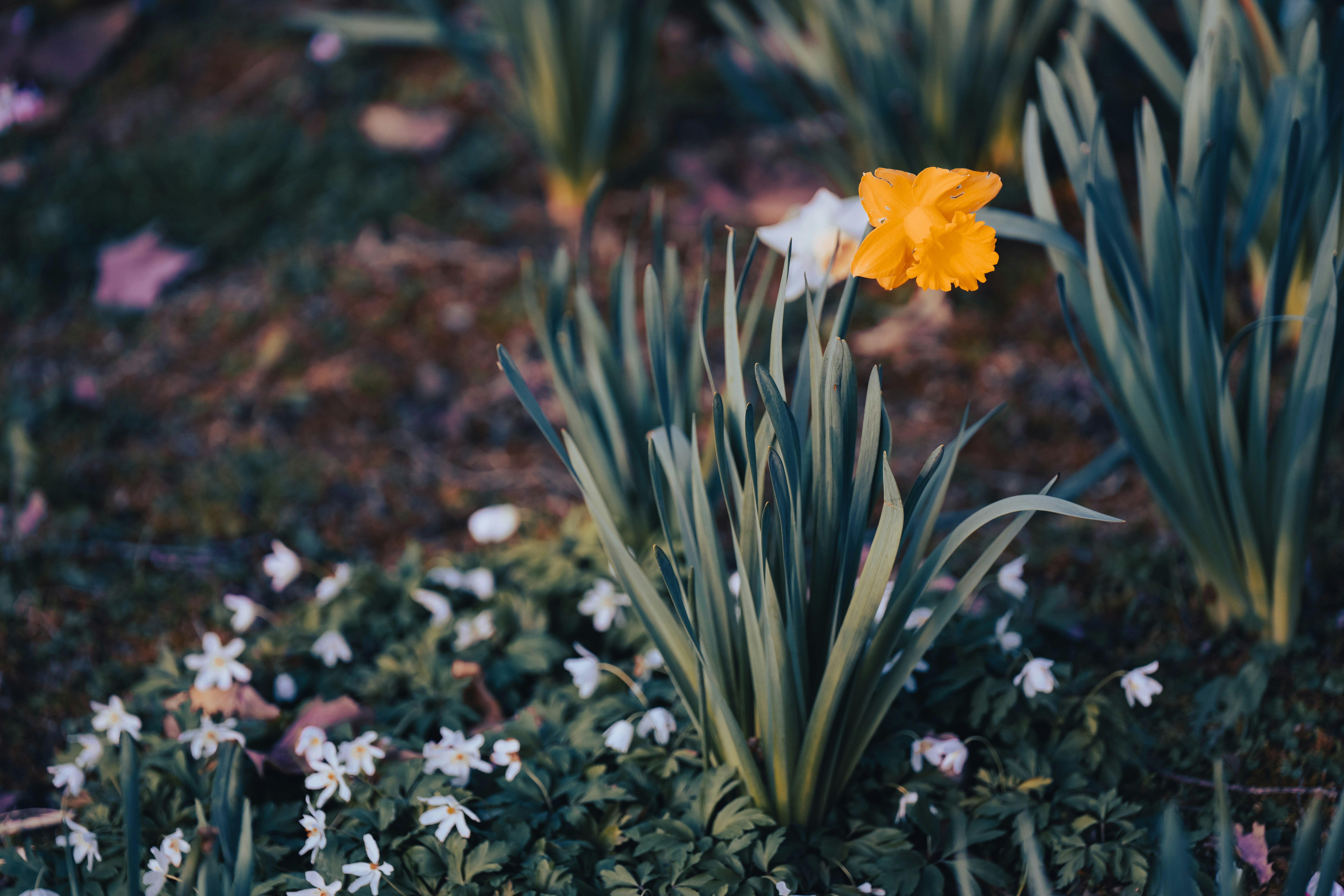 Photo by opohmelka