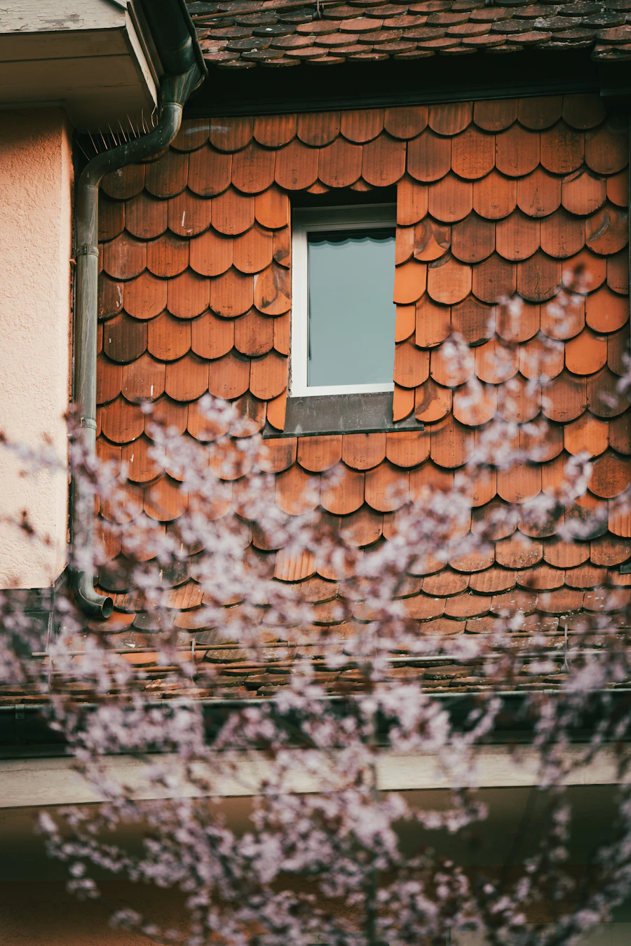 Střešní okno – ilustrační foto