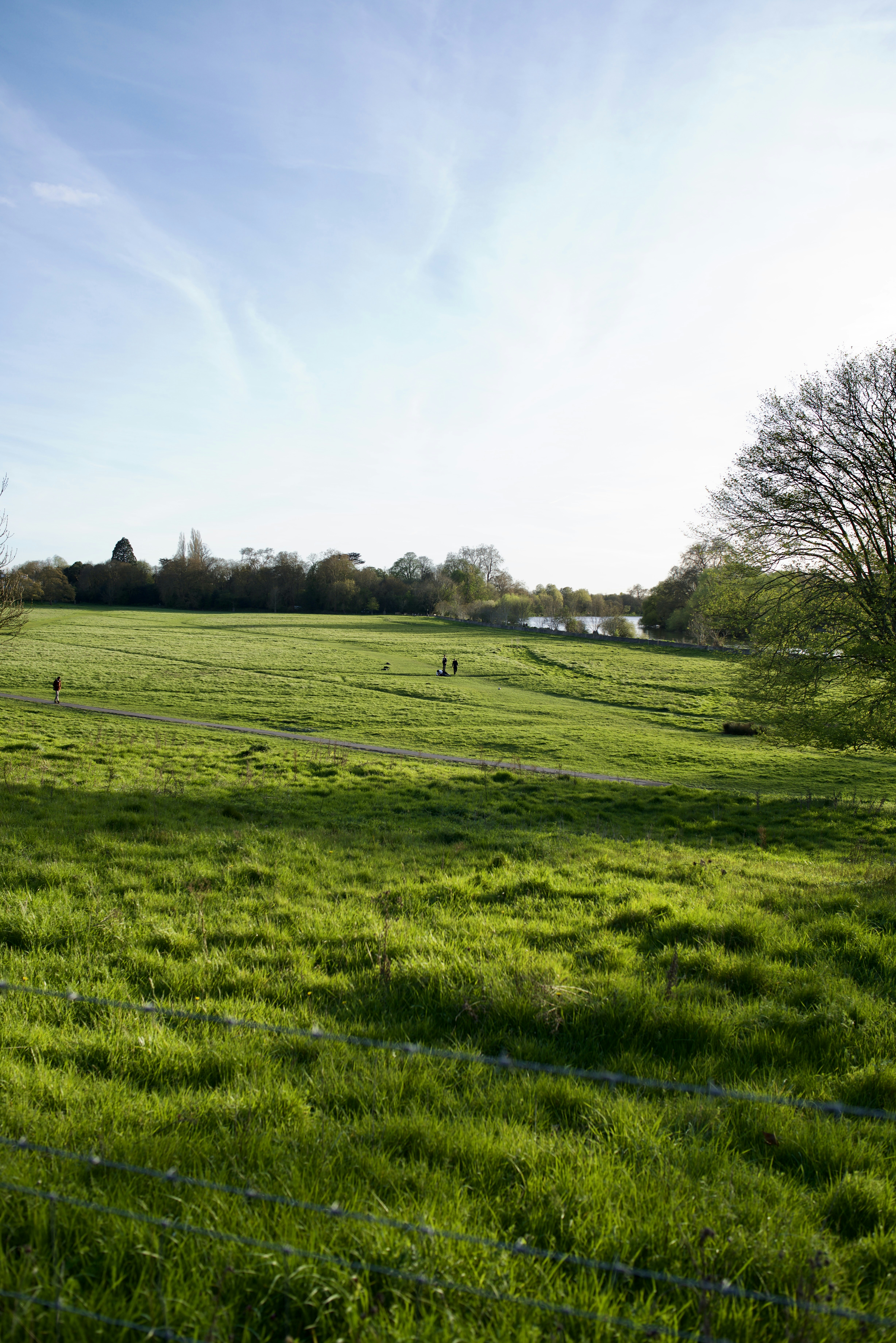 Photo by mattrighetti