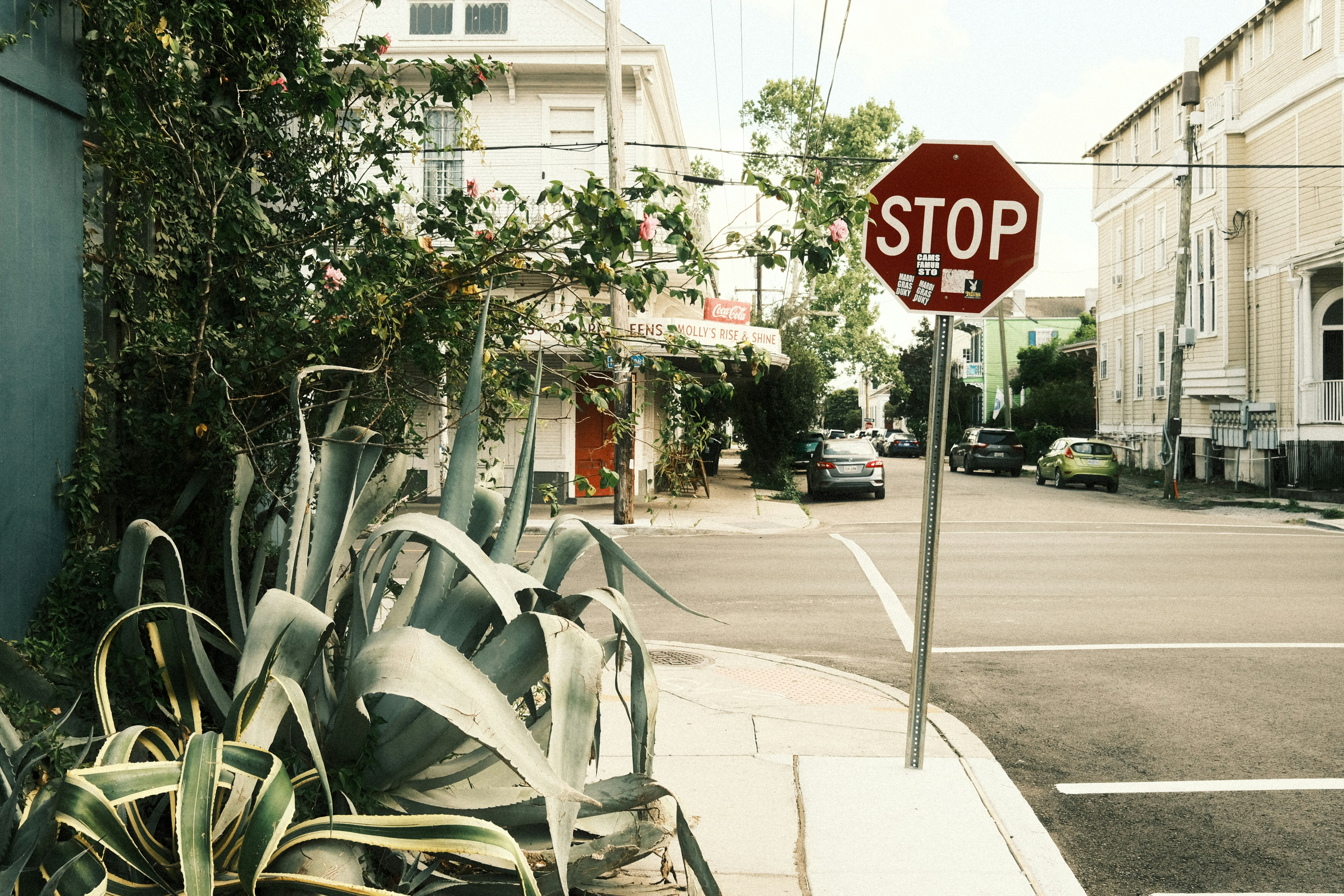 Señal de stop en una esquina con plantas.
