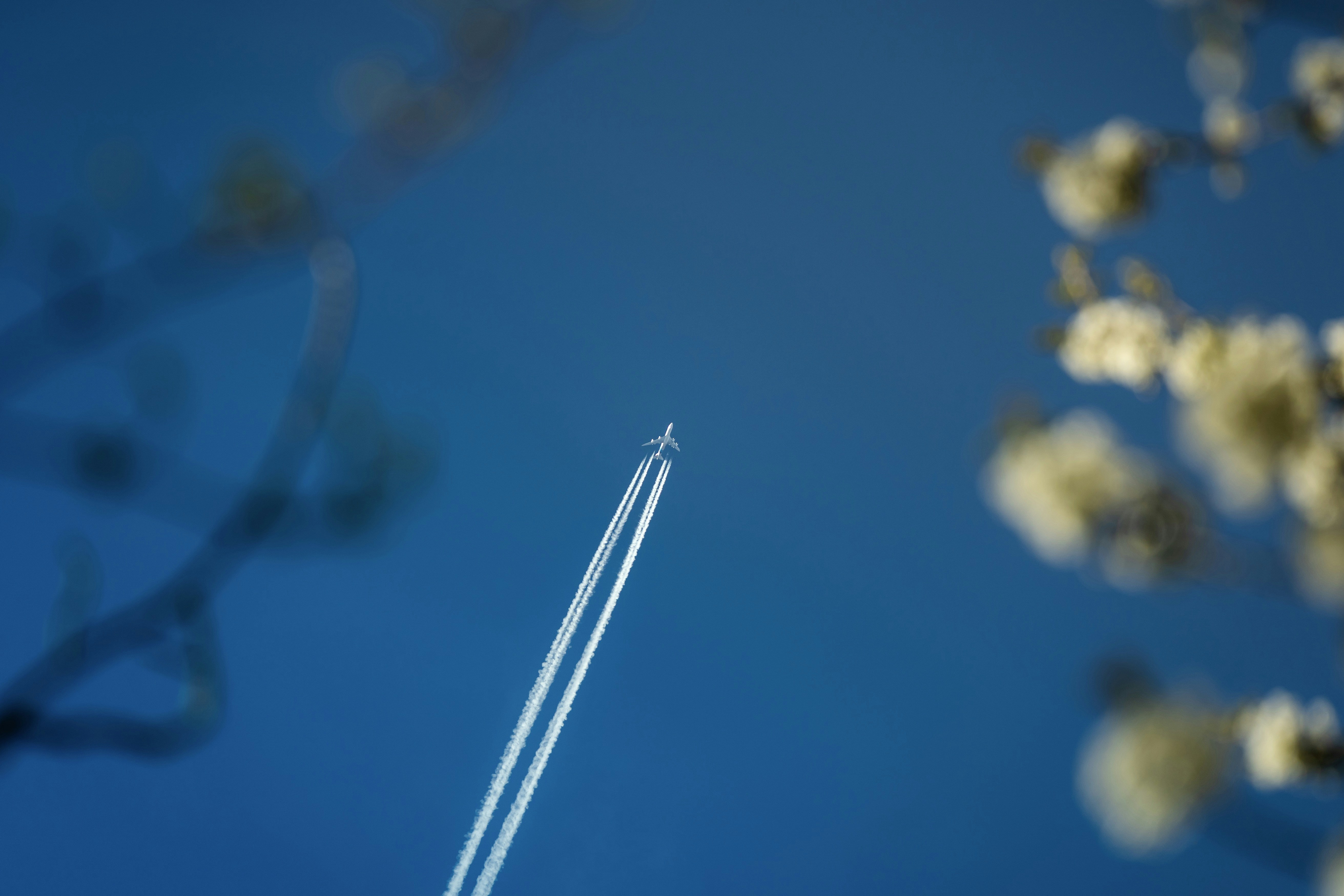 Photo by pino_rumbero