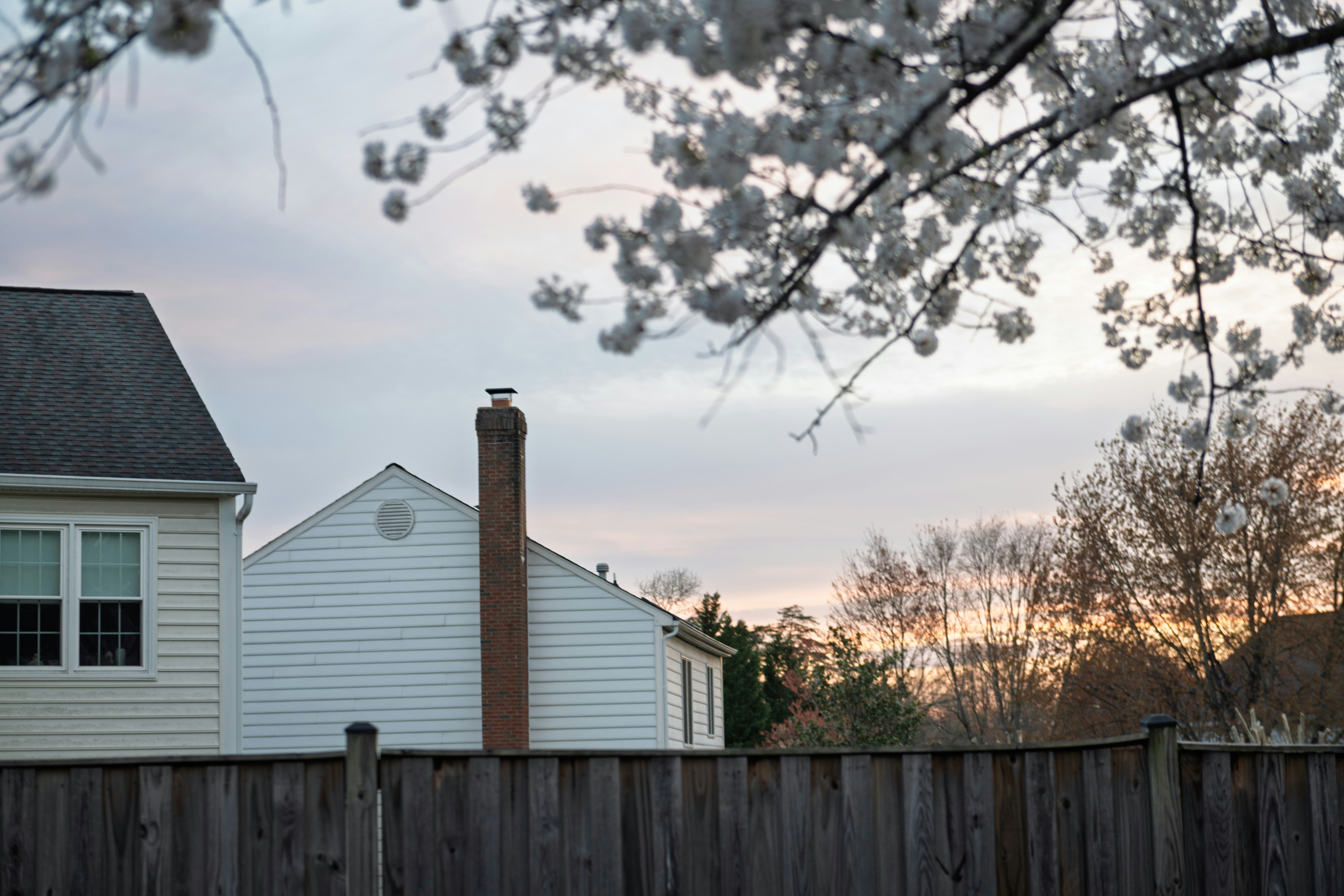 Houses and trees seen through a wooden fence at sunset.