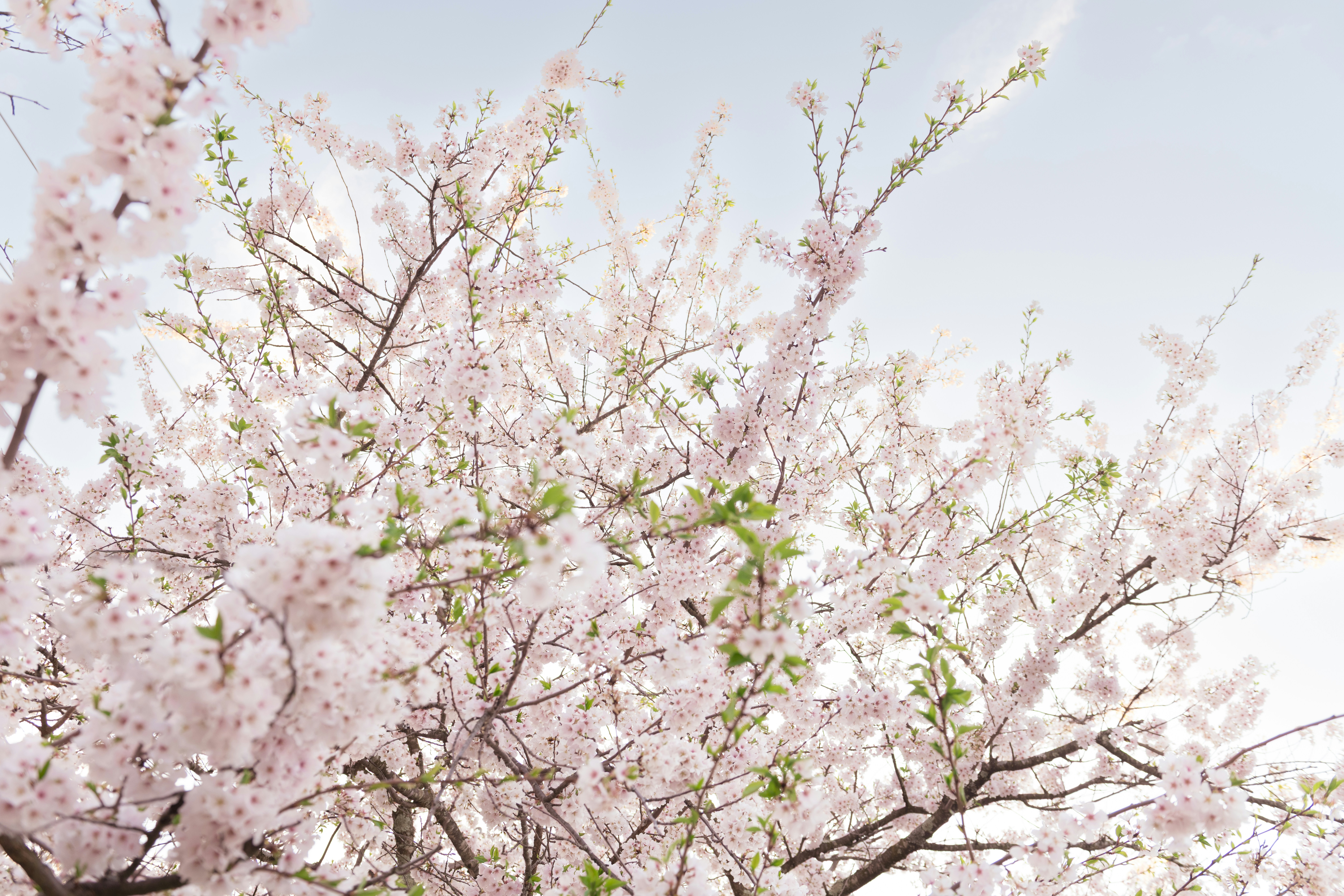 Photo by sriniunsplash