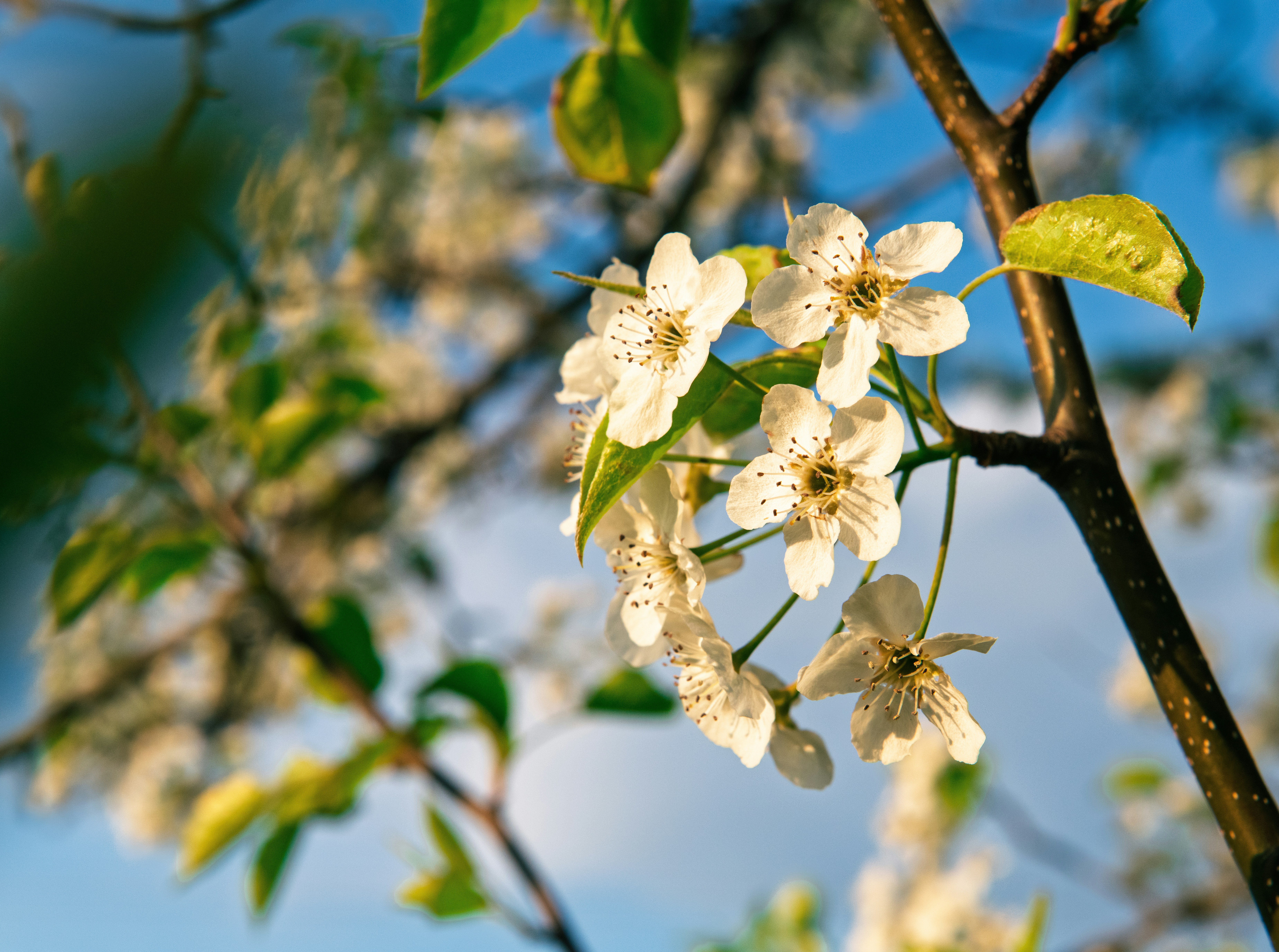 Photo by sriniunsplash