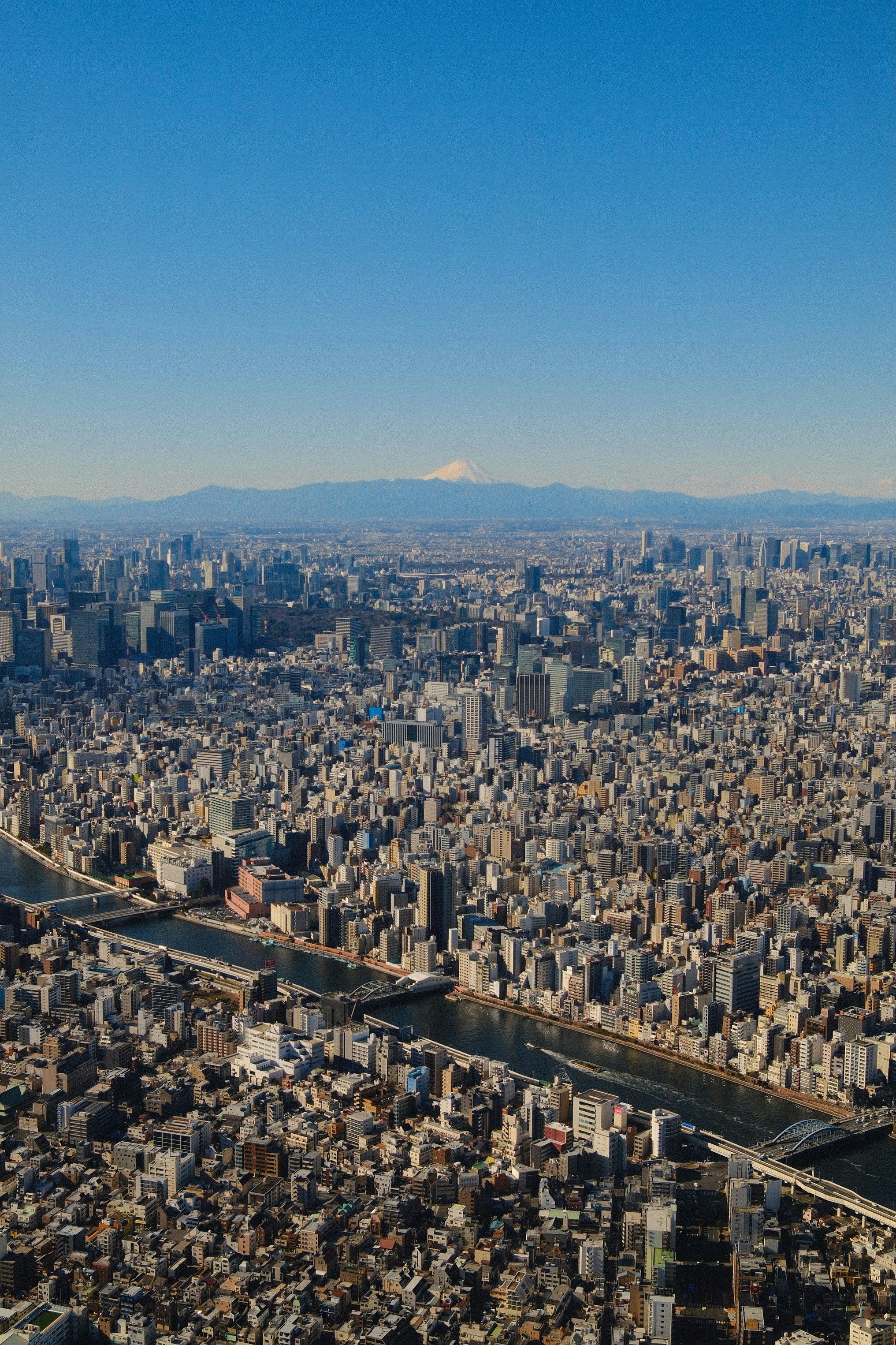 Photo by jackseeberryphoto