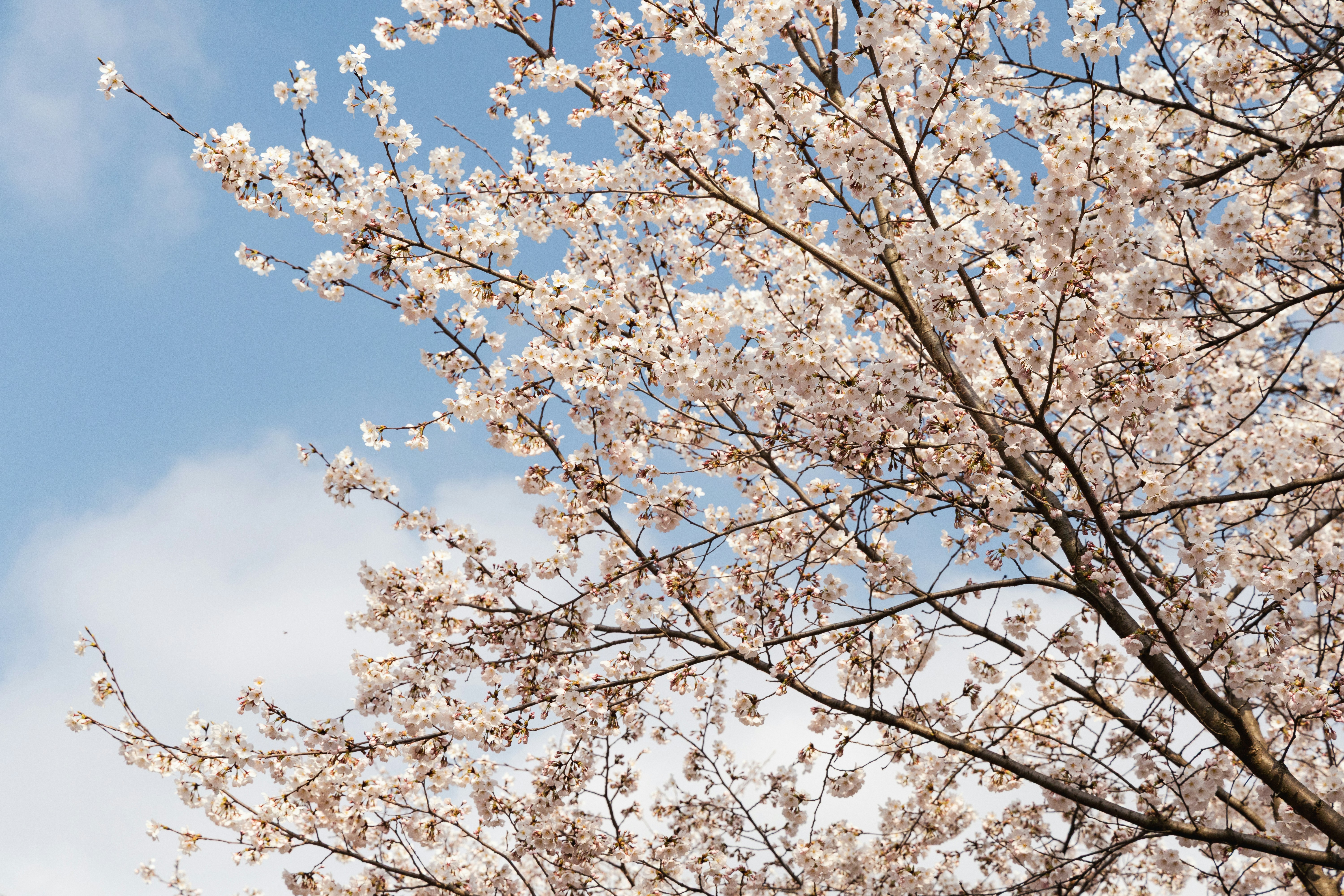 Photo by seoul_lover_lily