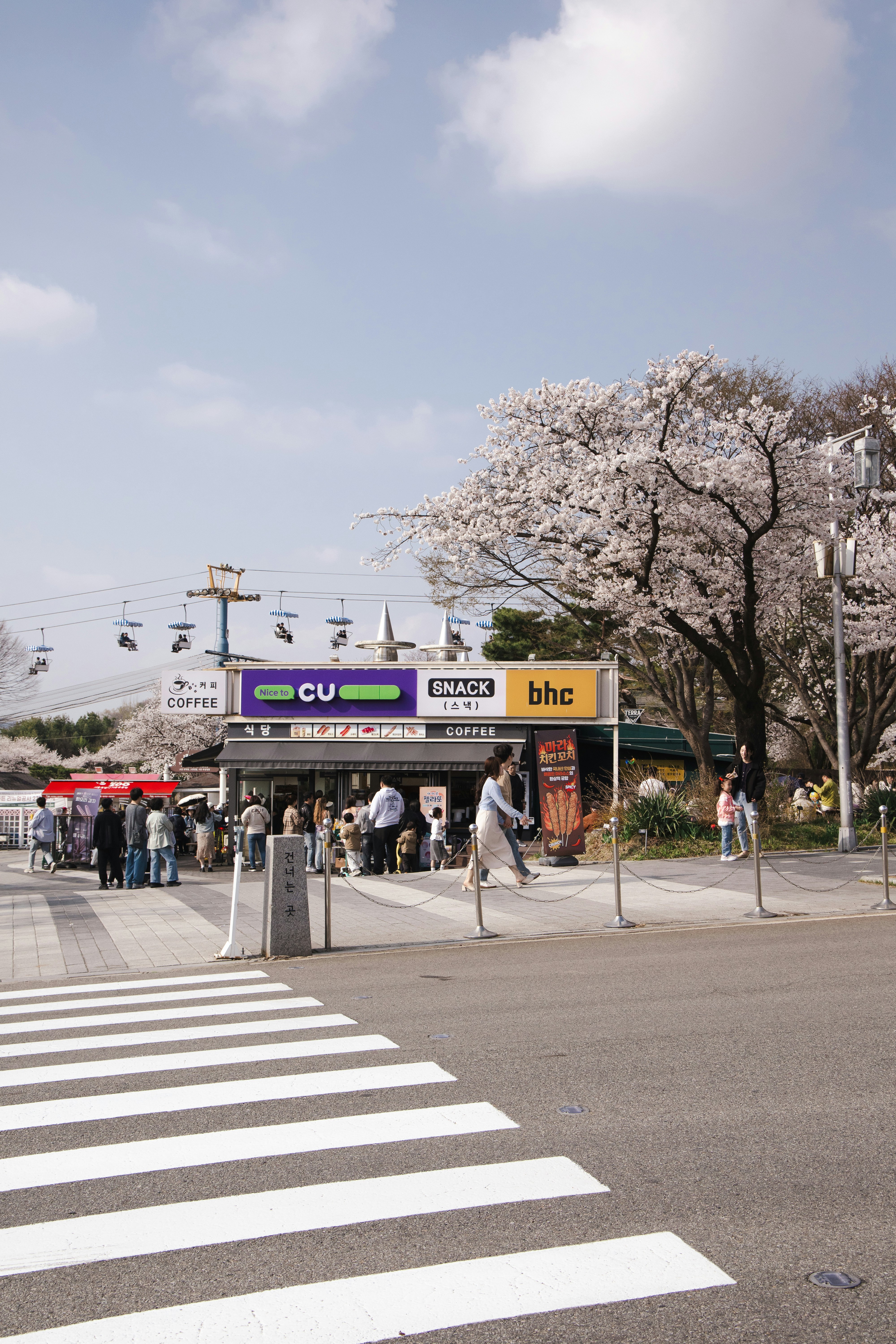 People walk past a snack stand under cherry blossoms.