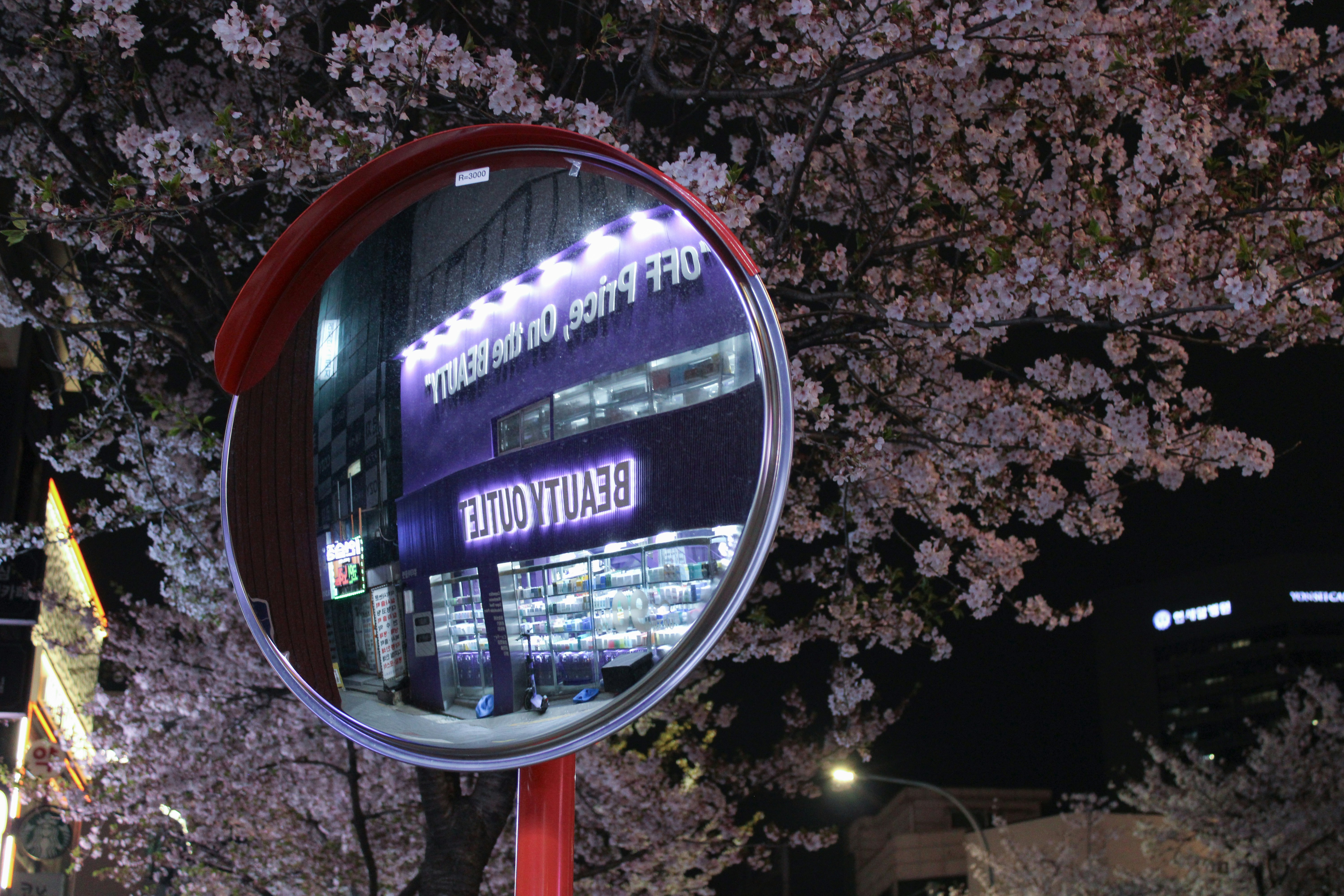 A convex mirror reflects a neon-lit building at night