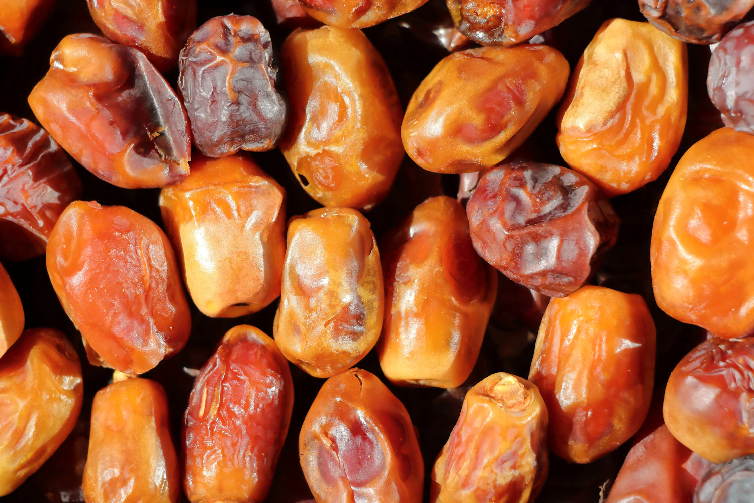 Soft baking-grade Medjool dates piled close, skins wrinkled and sticky