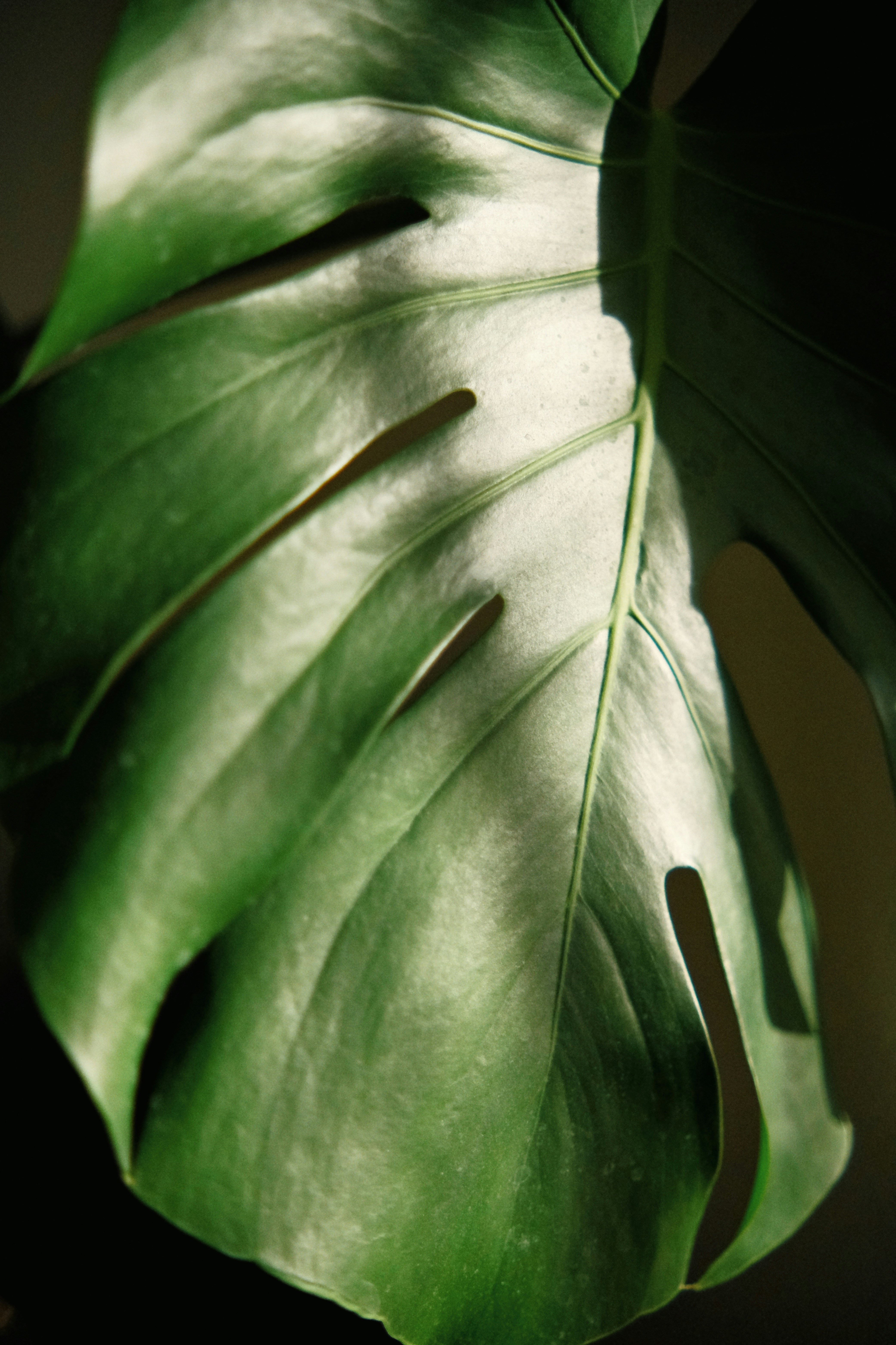 Photo by tobolenkoph