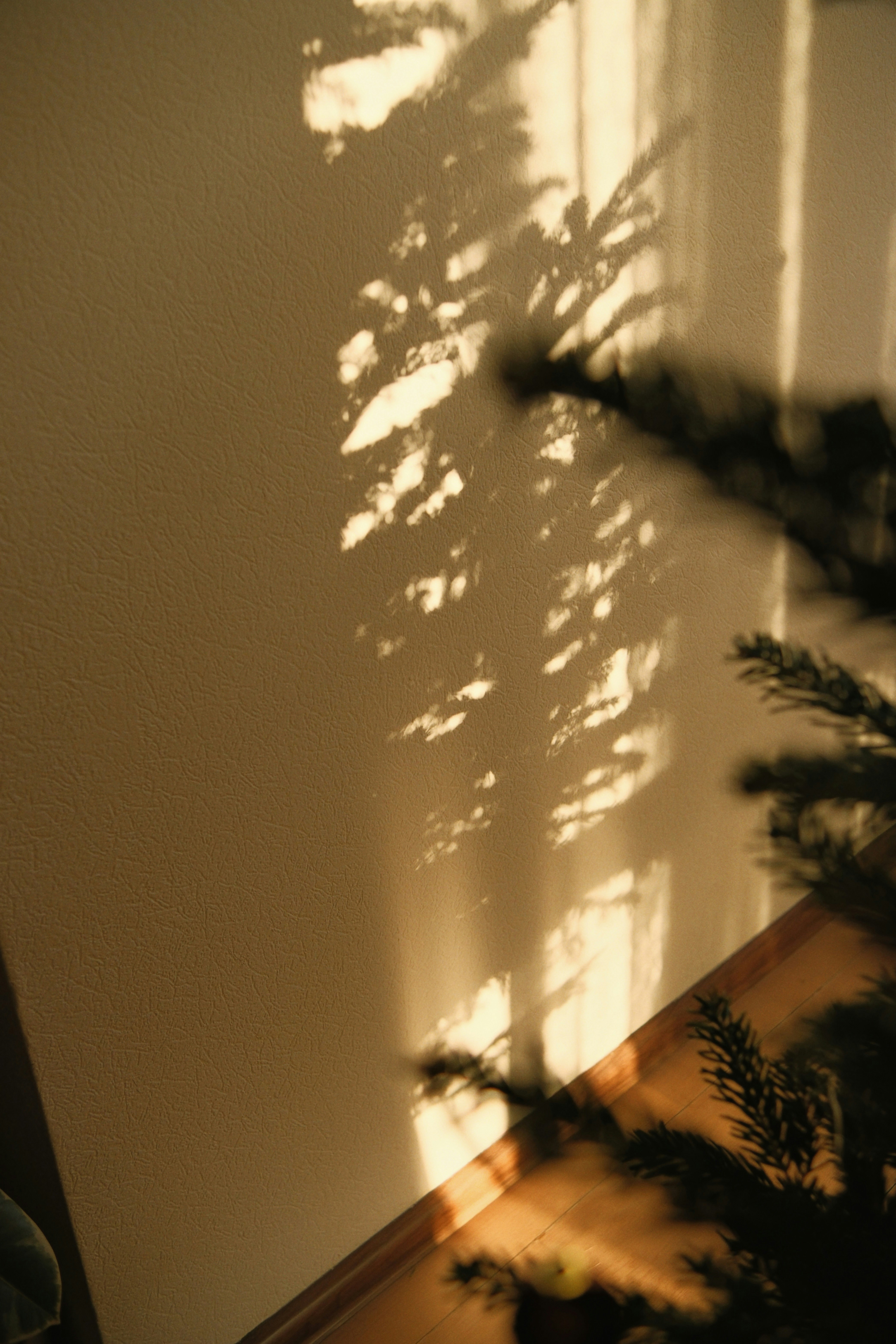 Photo by tobolenkoph