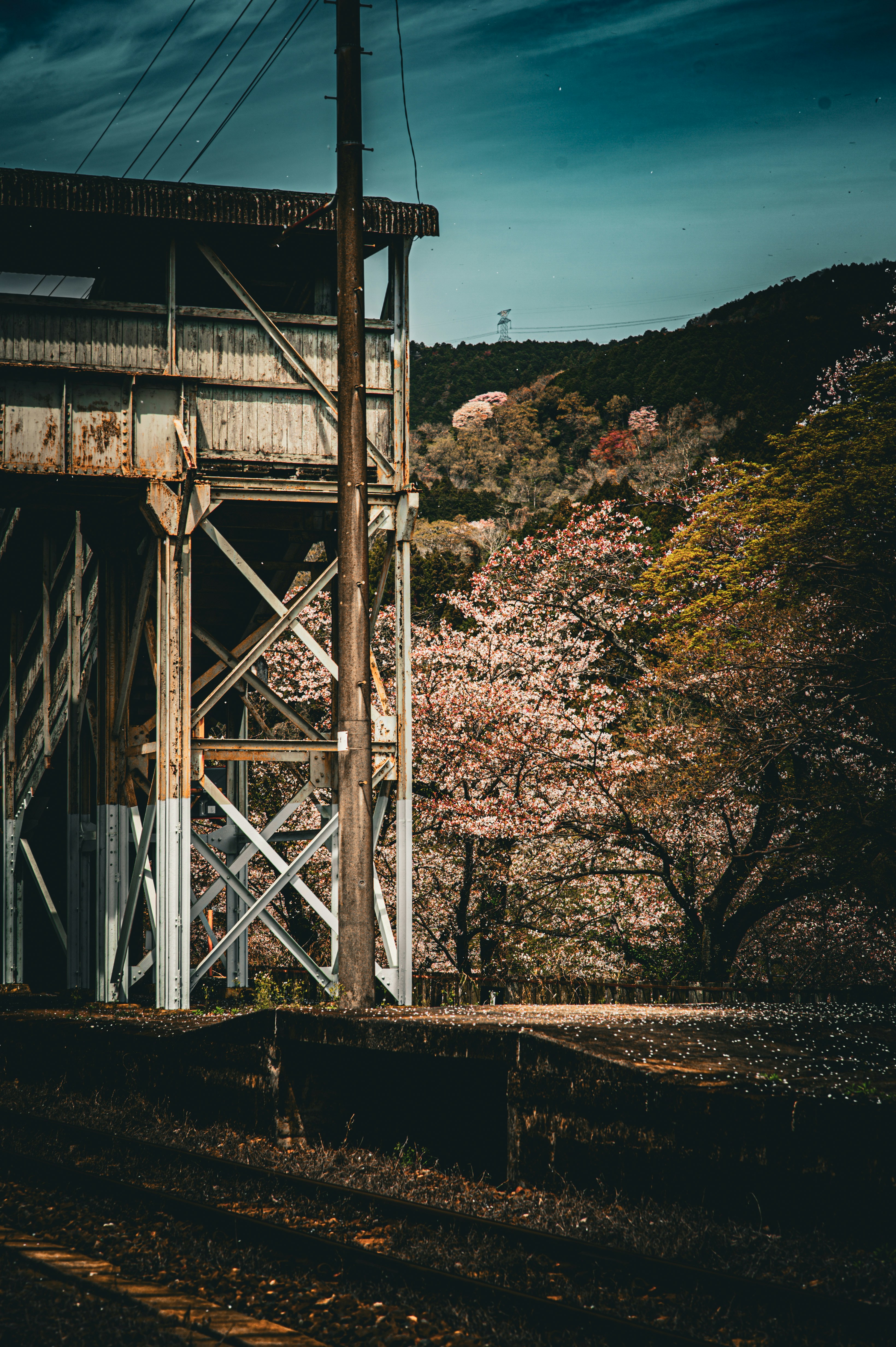 Old industrial structure with blooming cherry blossoms