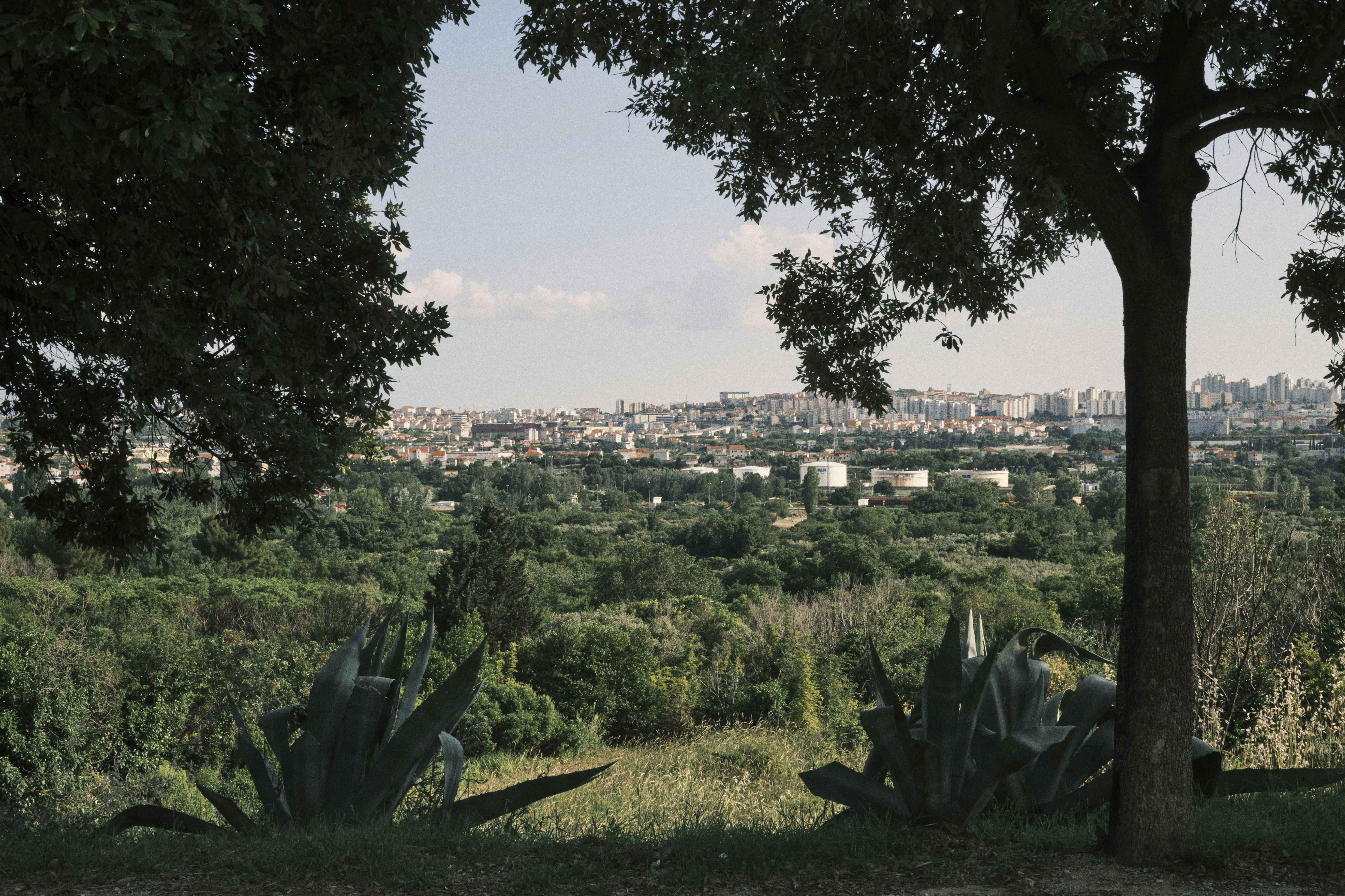 Blas Castañeda Park