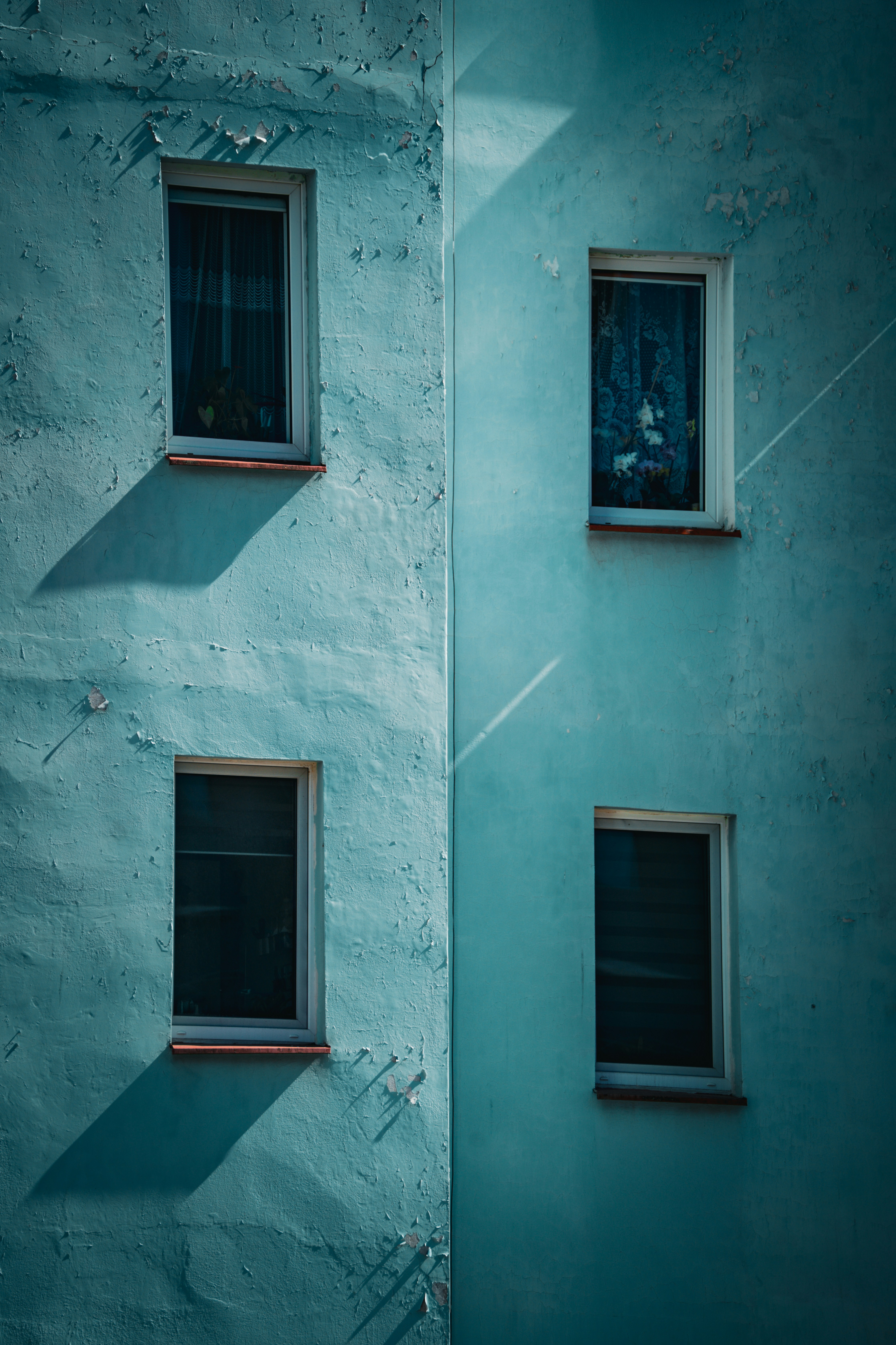 Four windows on a textured blue wall