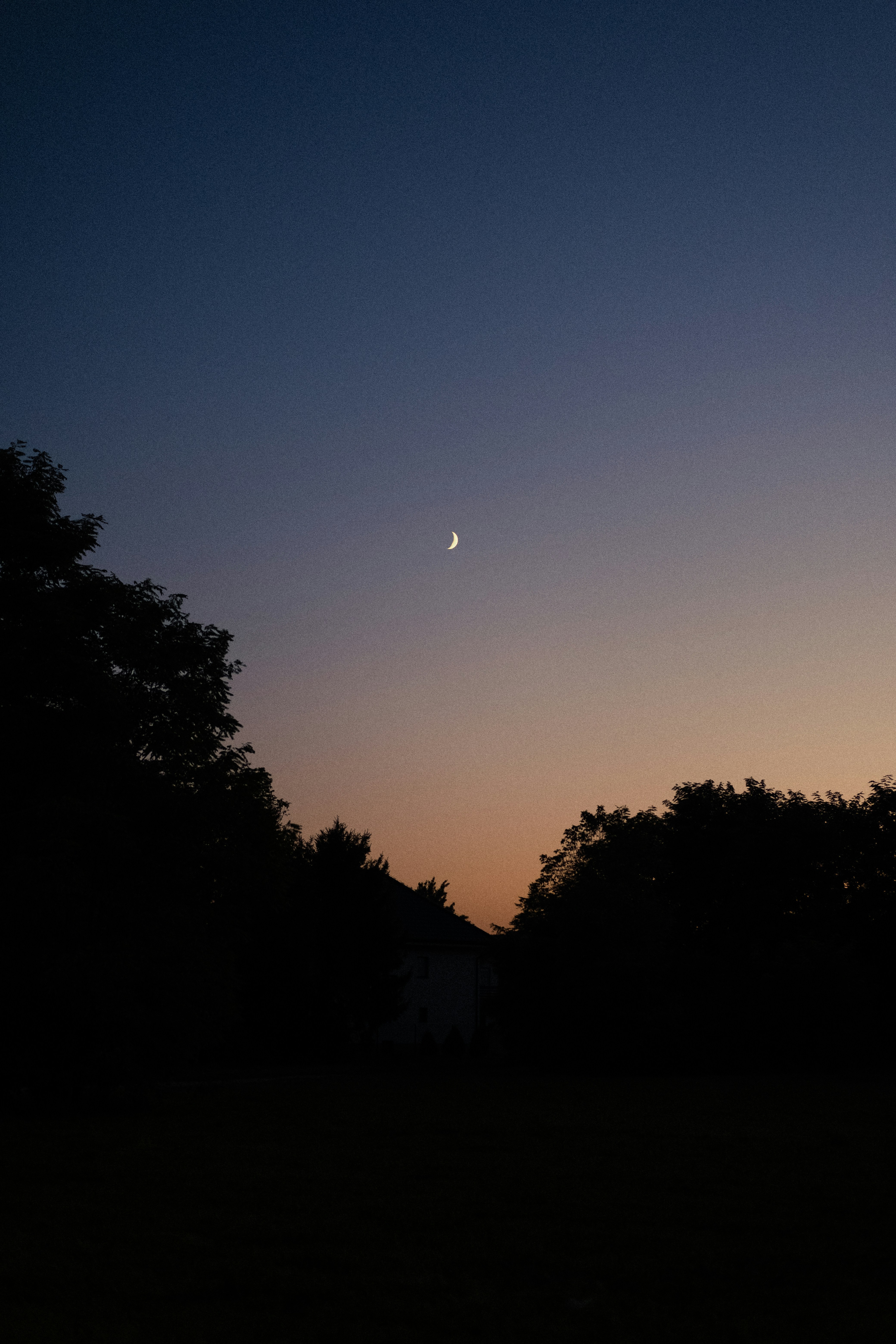 Photo by ijphot