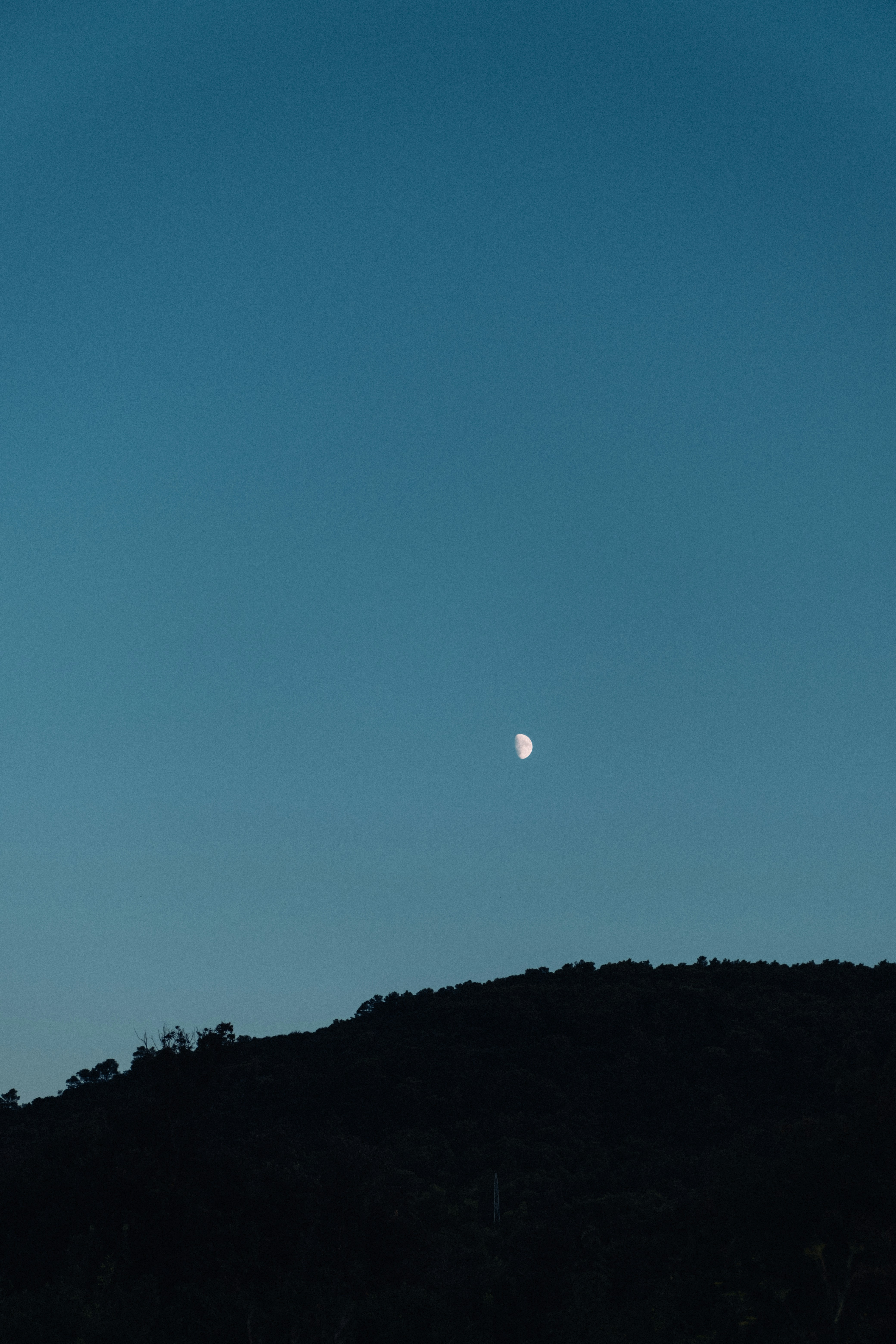 Photo by ijphot
