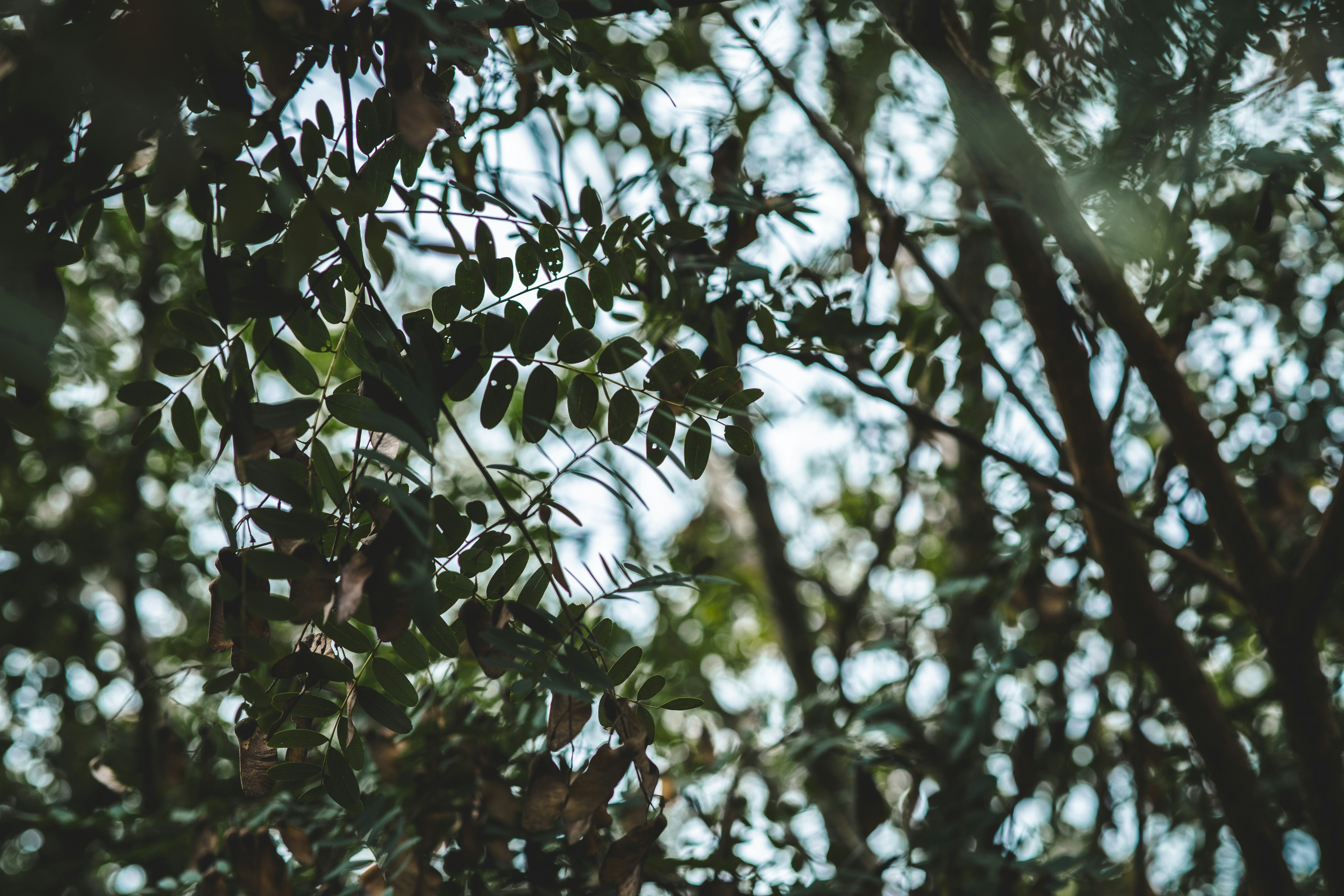 Photo by rrodriguesim