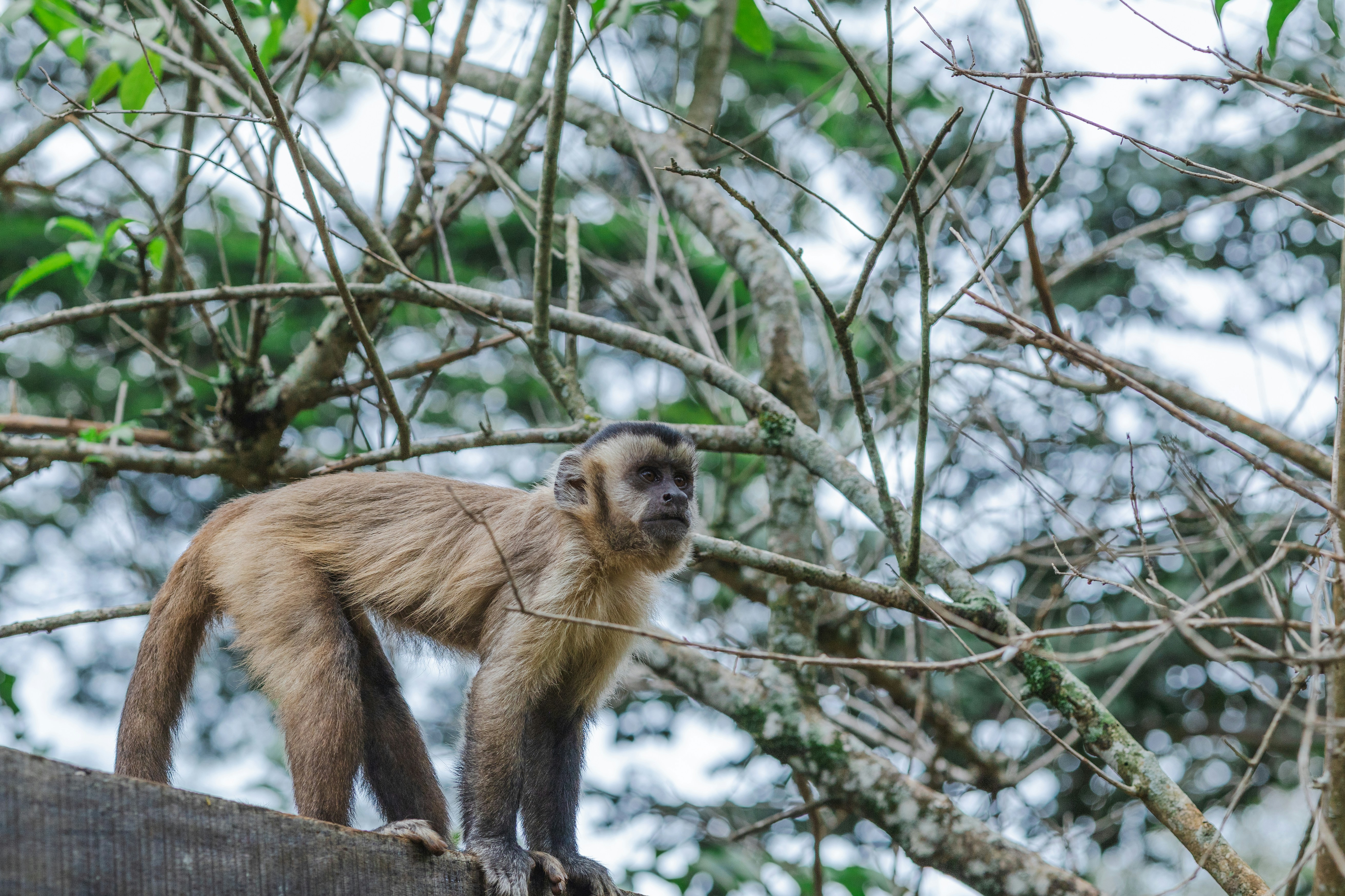 Photo by rrodriguesim