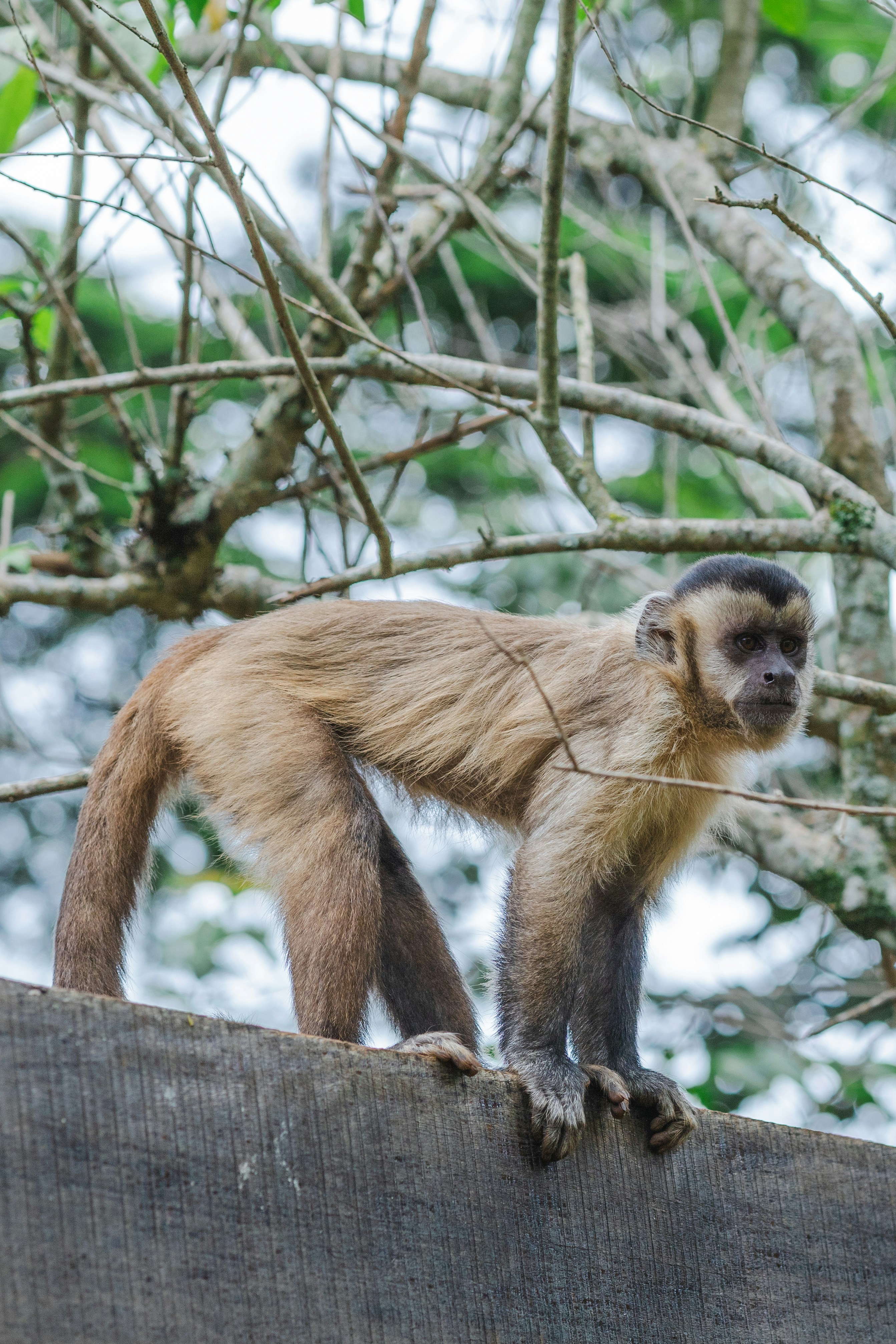 Photo by rrodriguesim