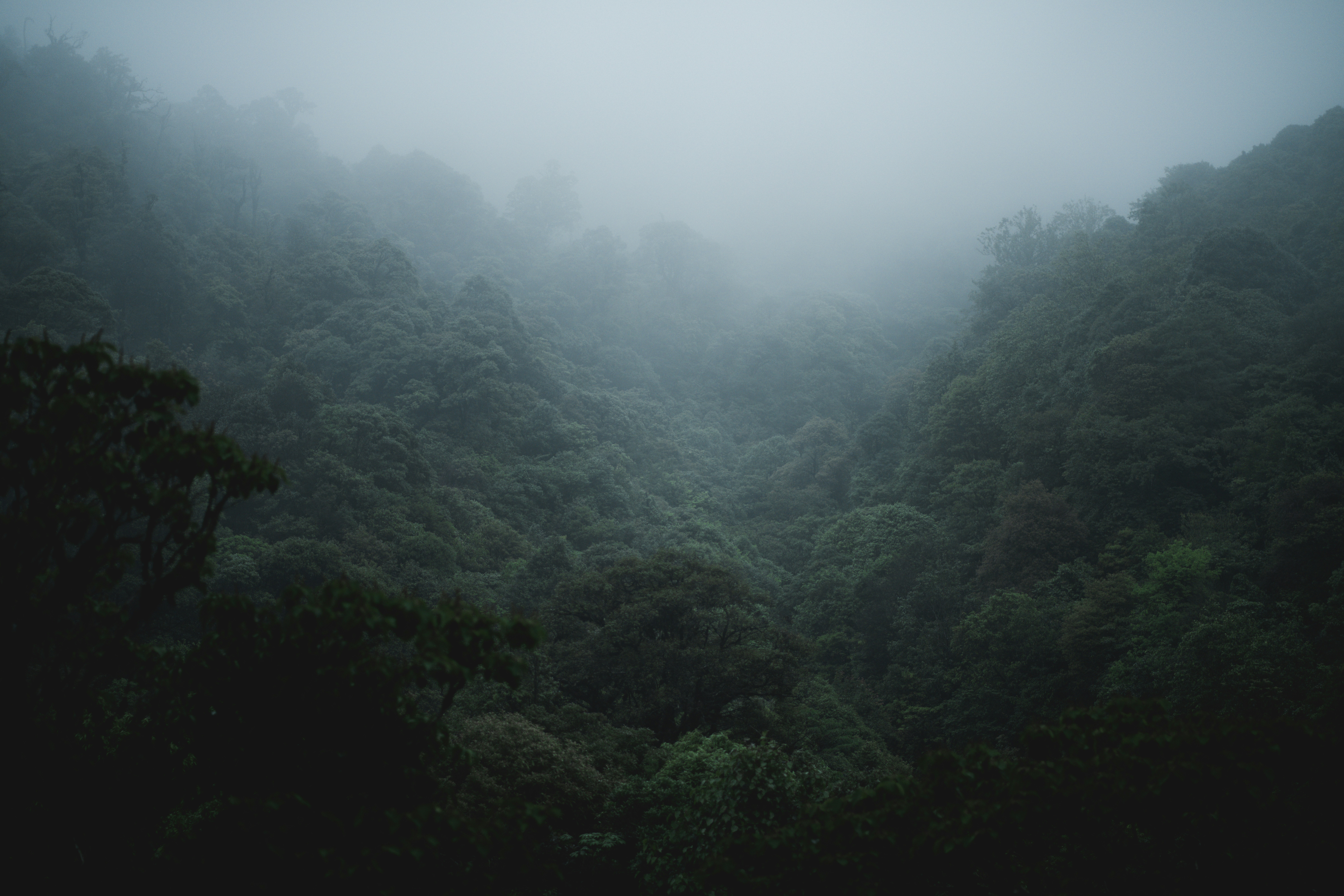 Photo by ambaticherry