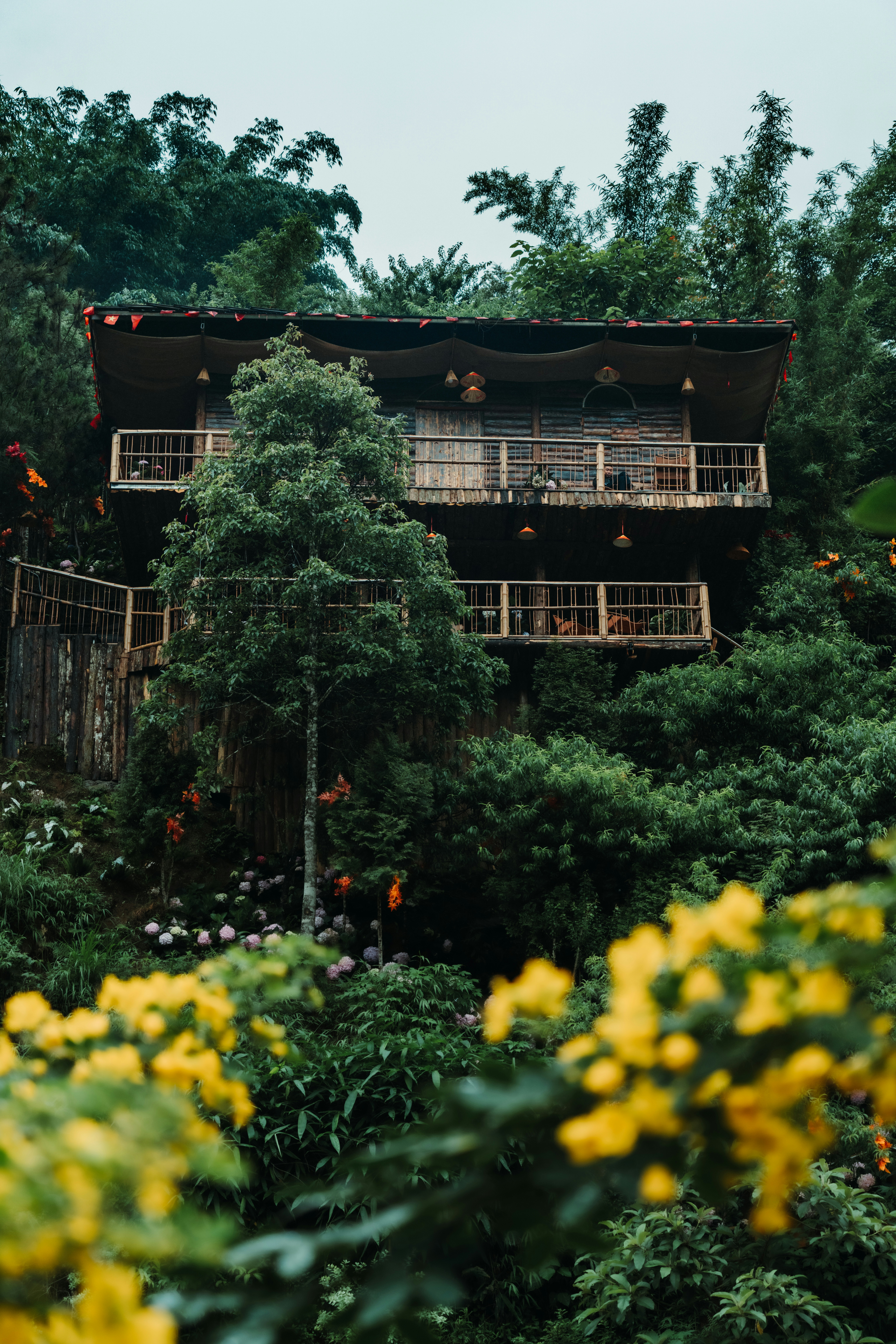 Photo by ambaticherry