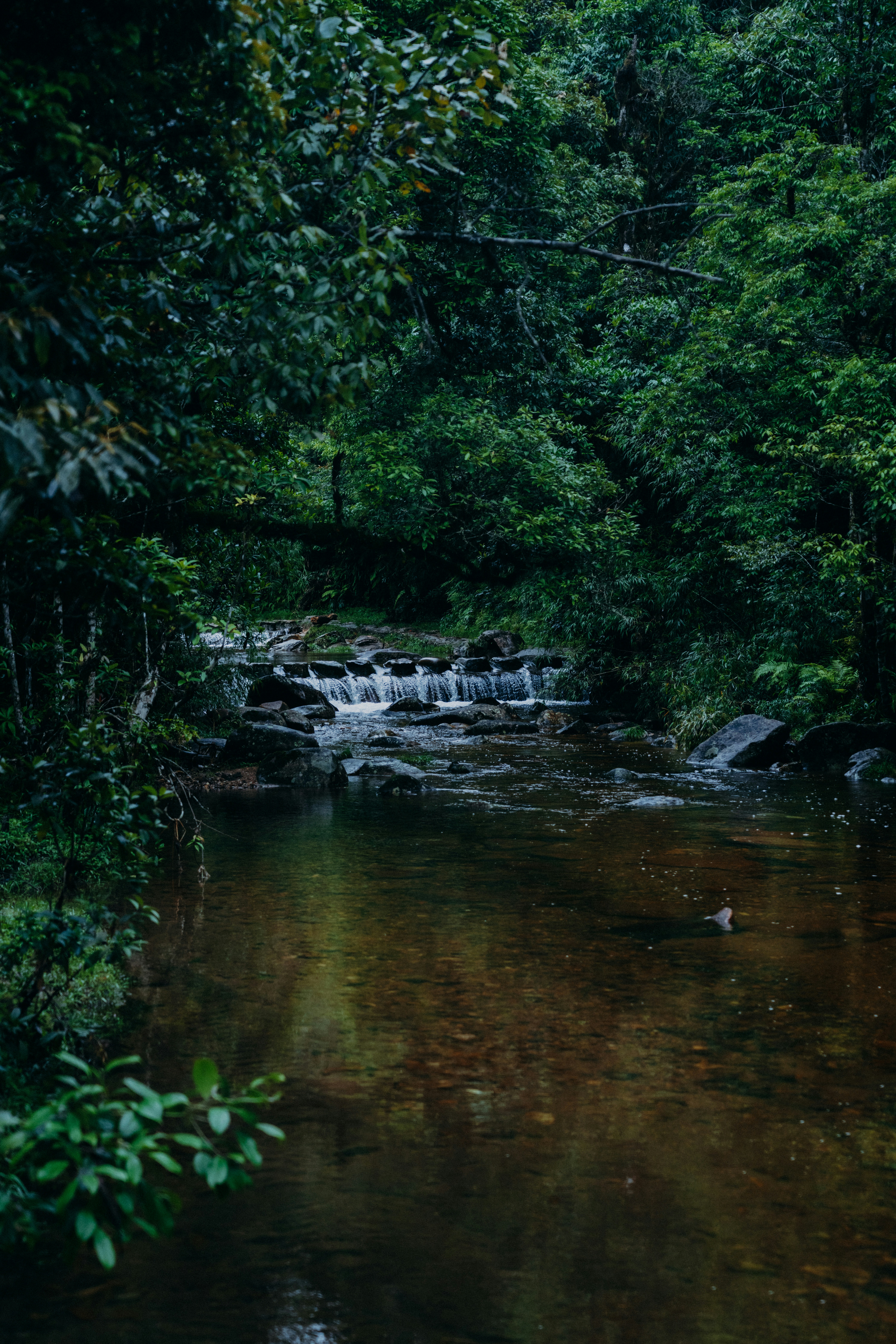 Photo by ambaticherry