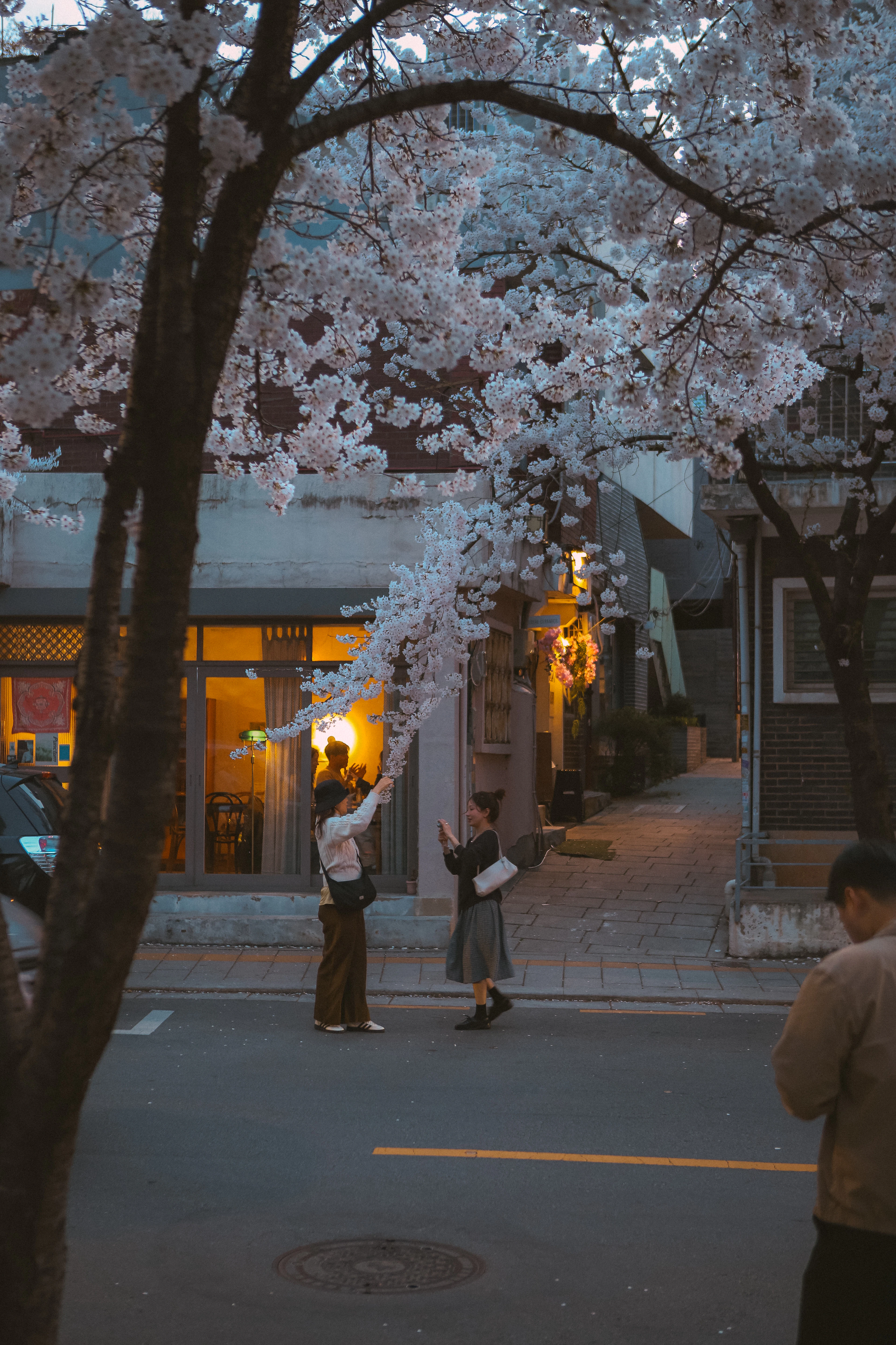 석촌호수 둘레길