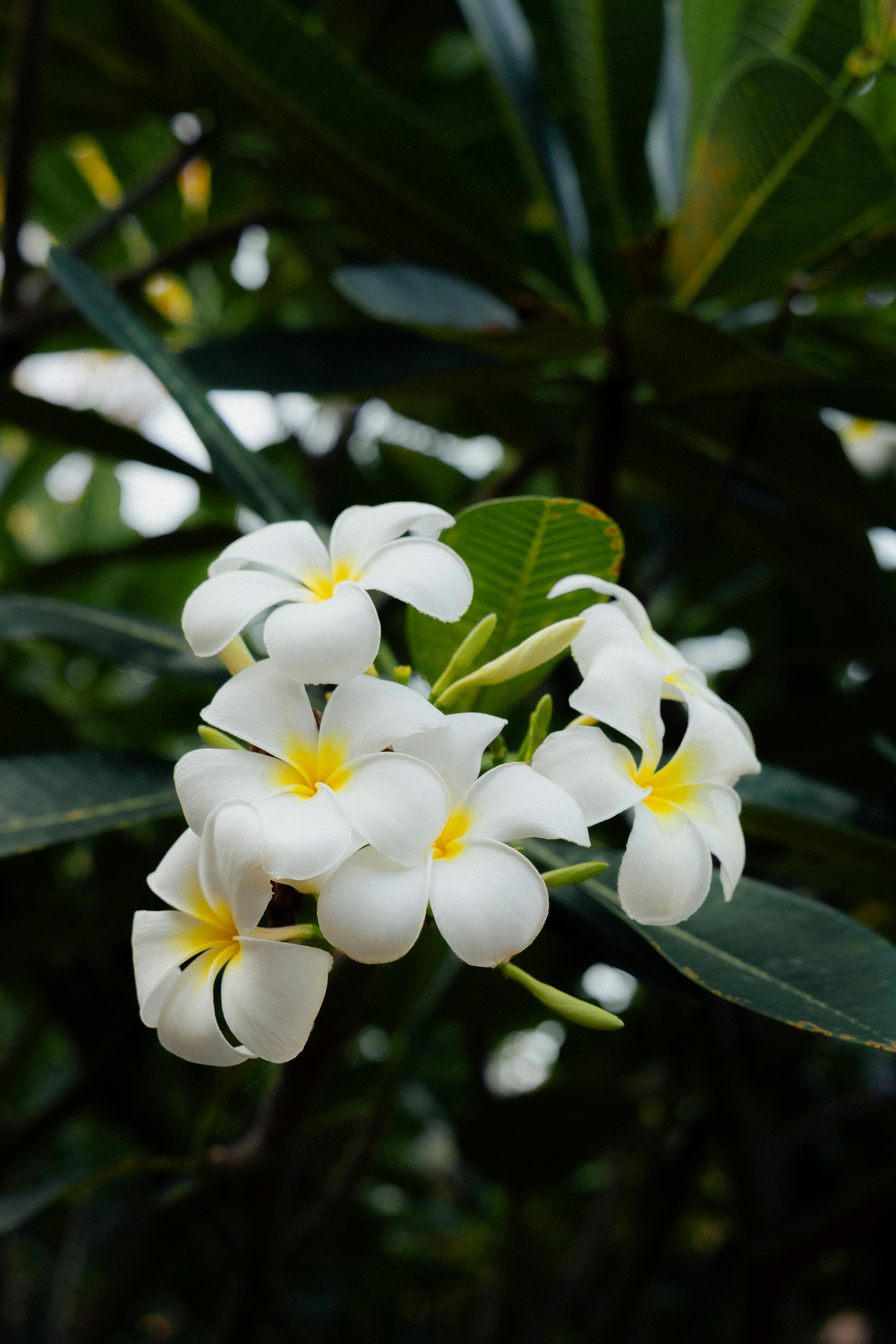 Photo by parkseongjin