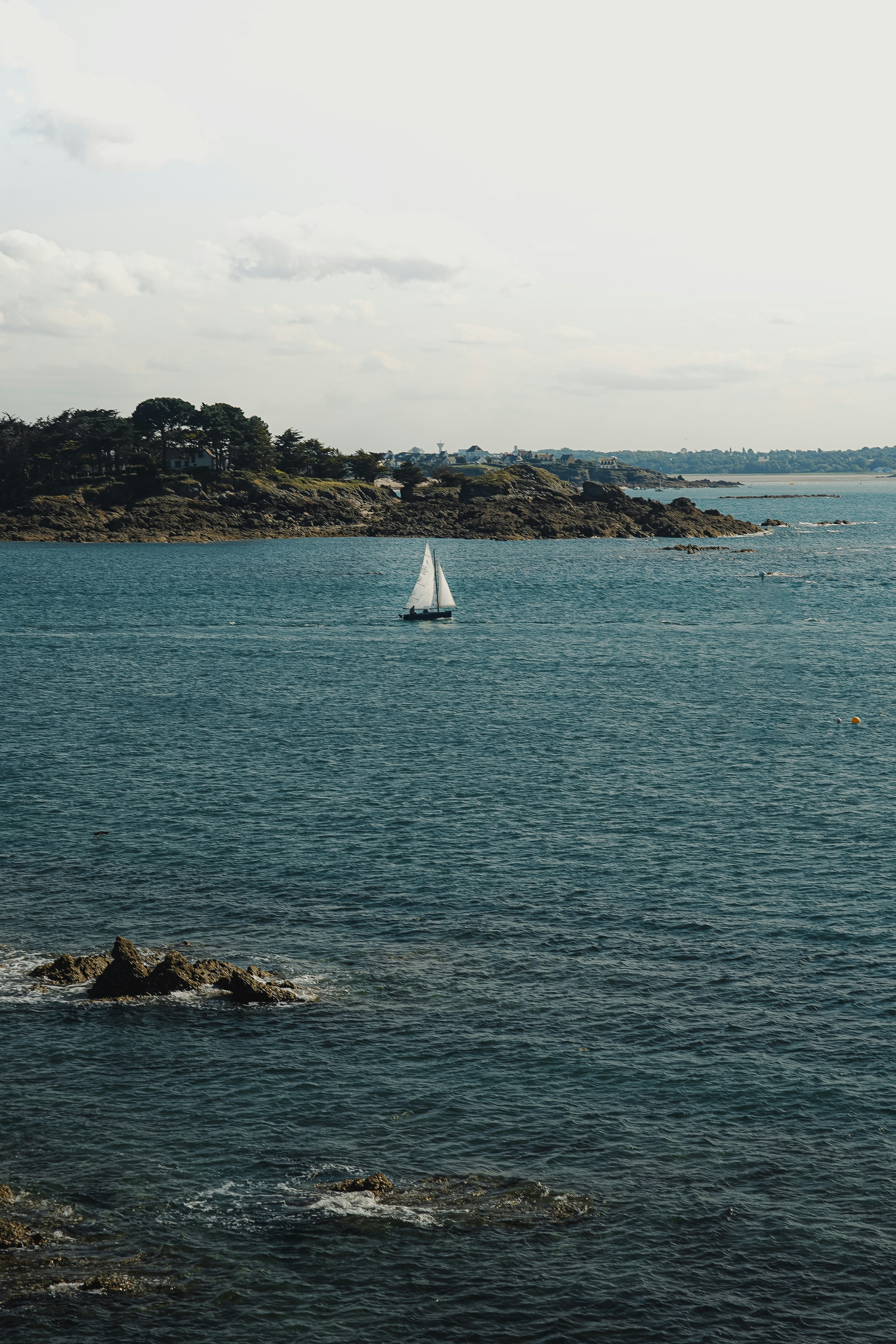 Ein einzelnes Segelboot navigiert in ruhigen, blauen Gewässern nahe dem Ufer.