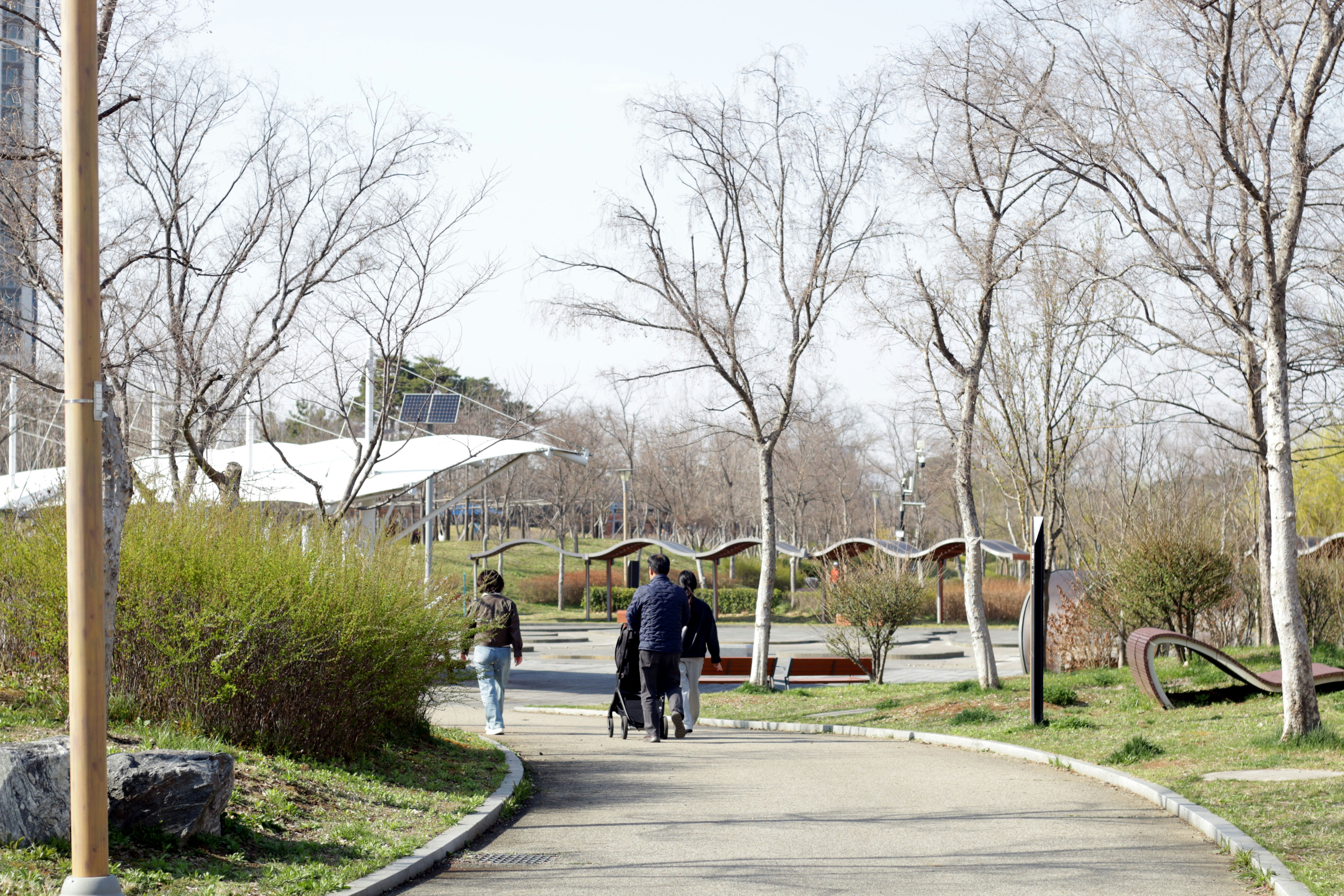 푸른 공원에서 아침 햇살을 맞으며 활기차게 걷는 사람의 모습
