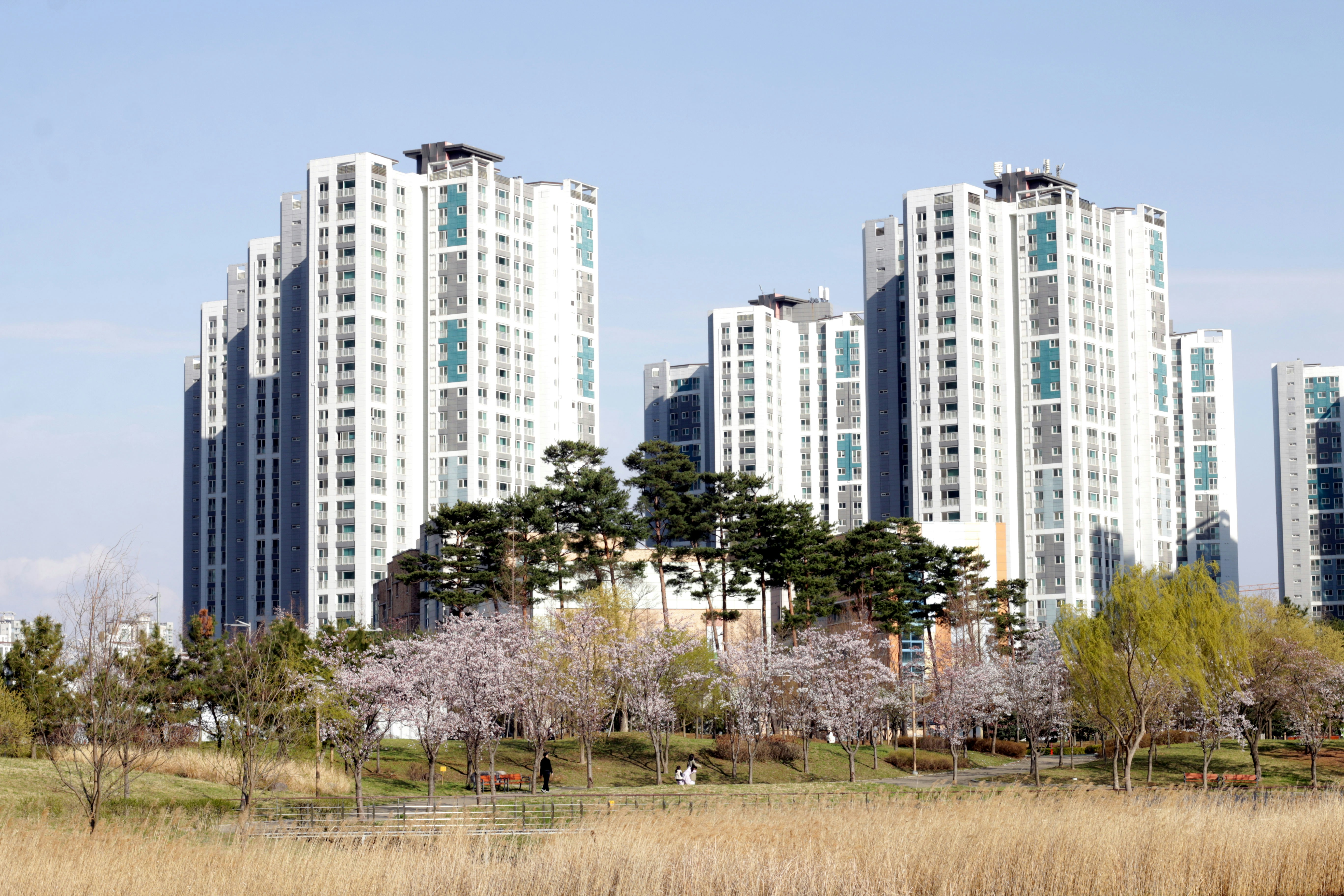 청주 부동산 변호사