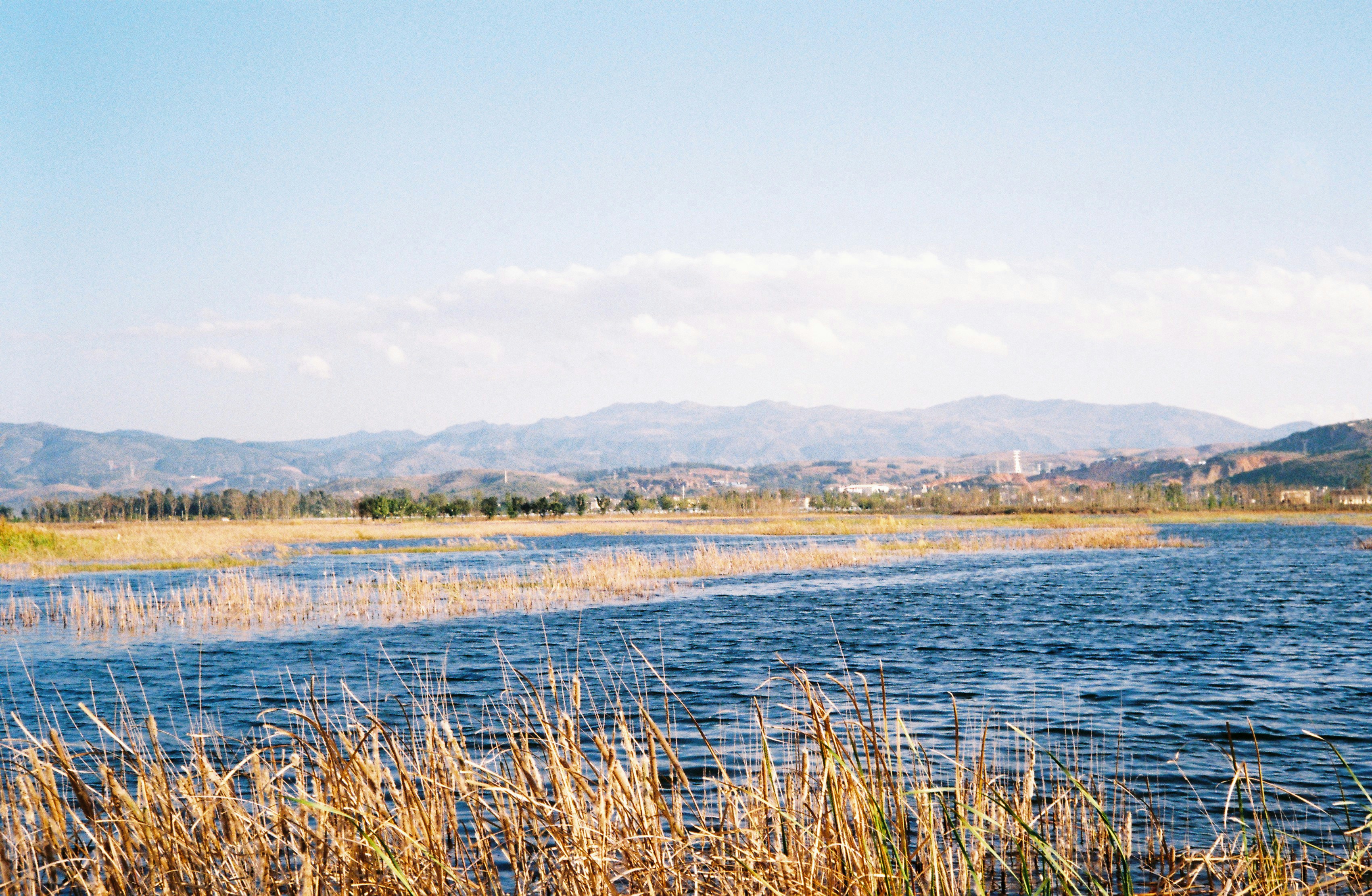 Photo by blackbird_ii