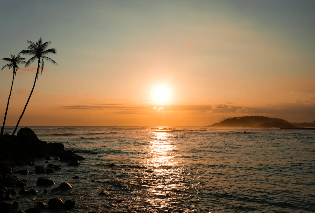 Sunset over the Indian Ocean framed by palm trees on Sri Lanka’s south coast