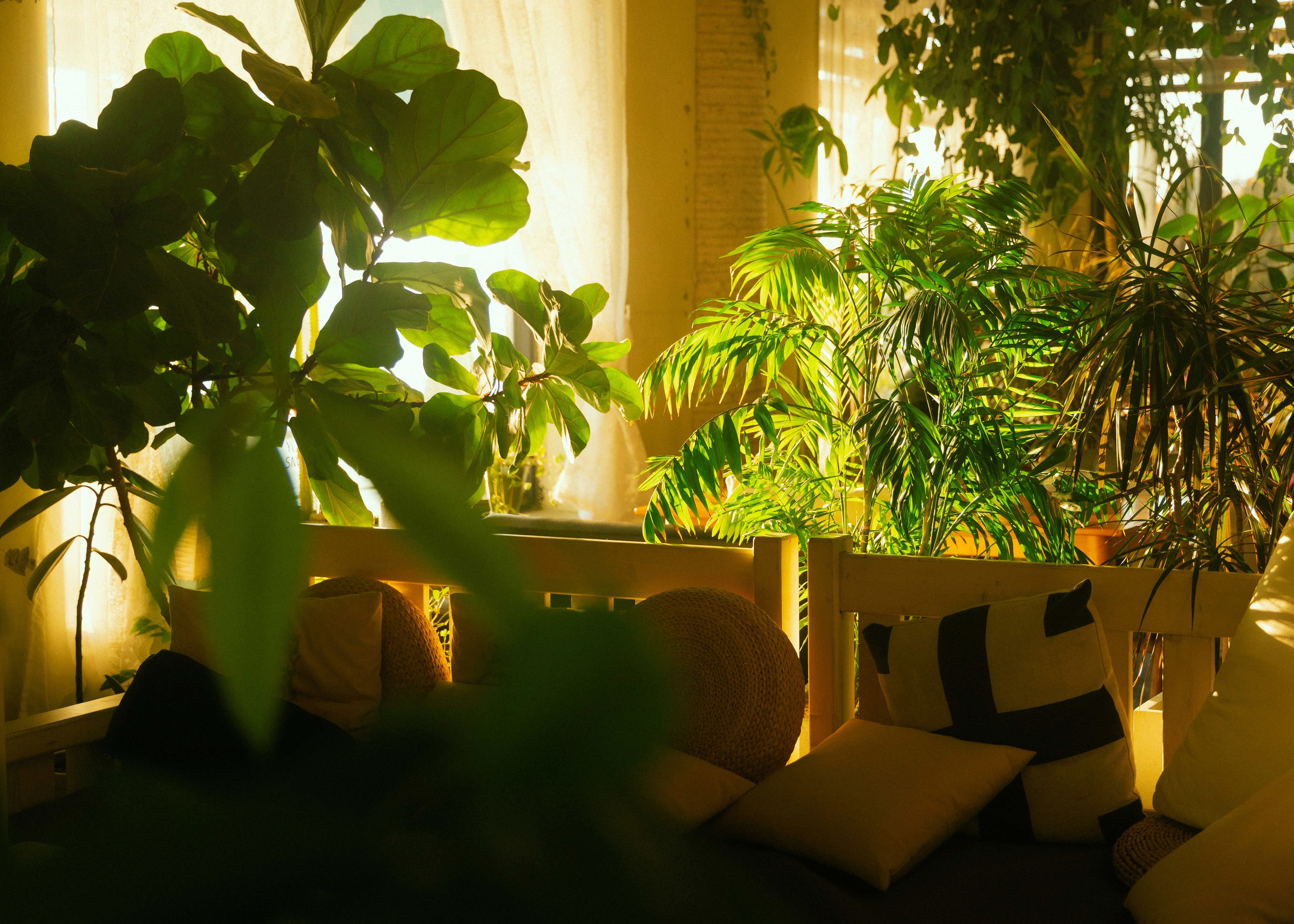 Photo by parkseongjin