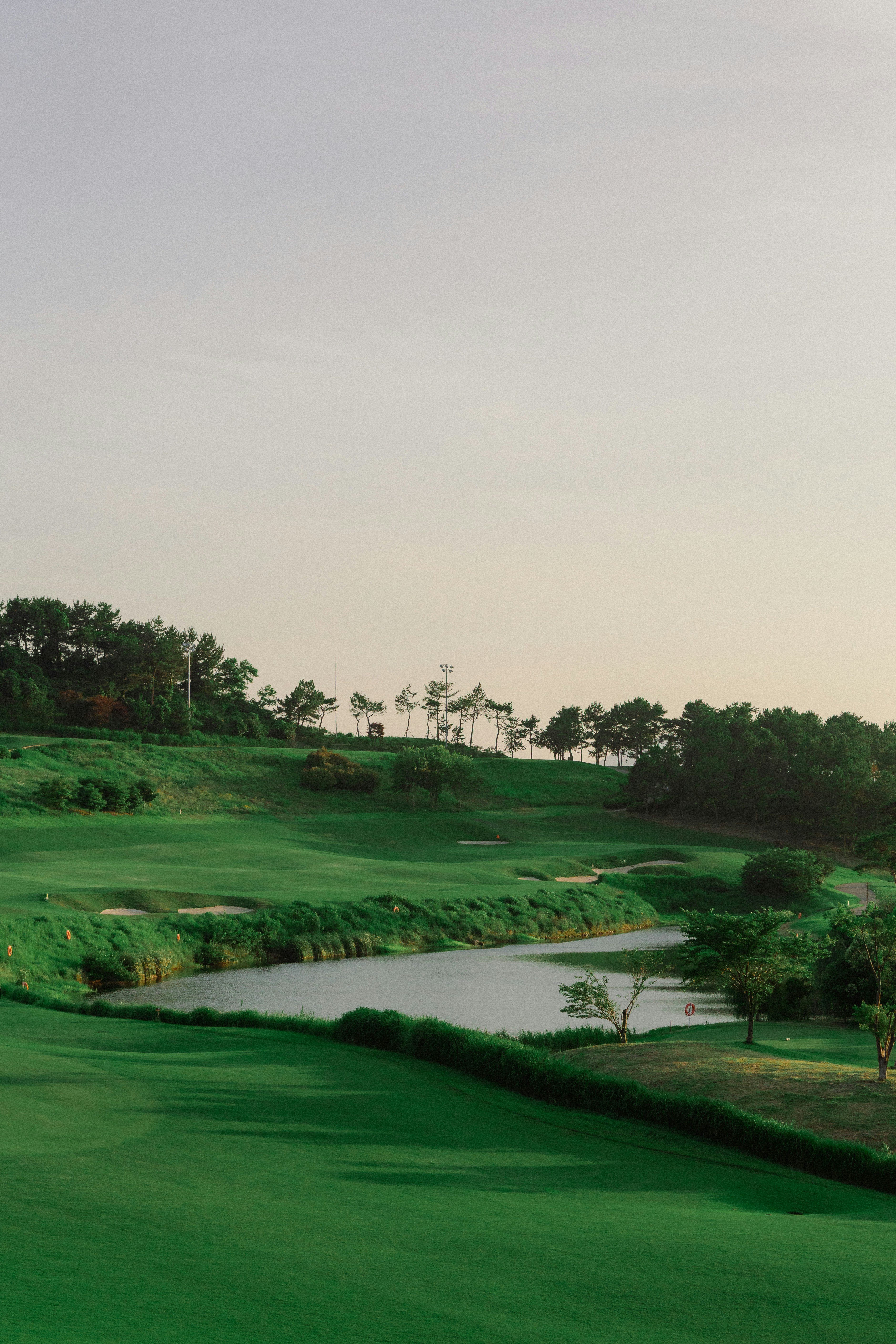 Lush green golf course with a serene lake and trees.