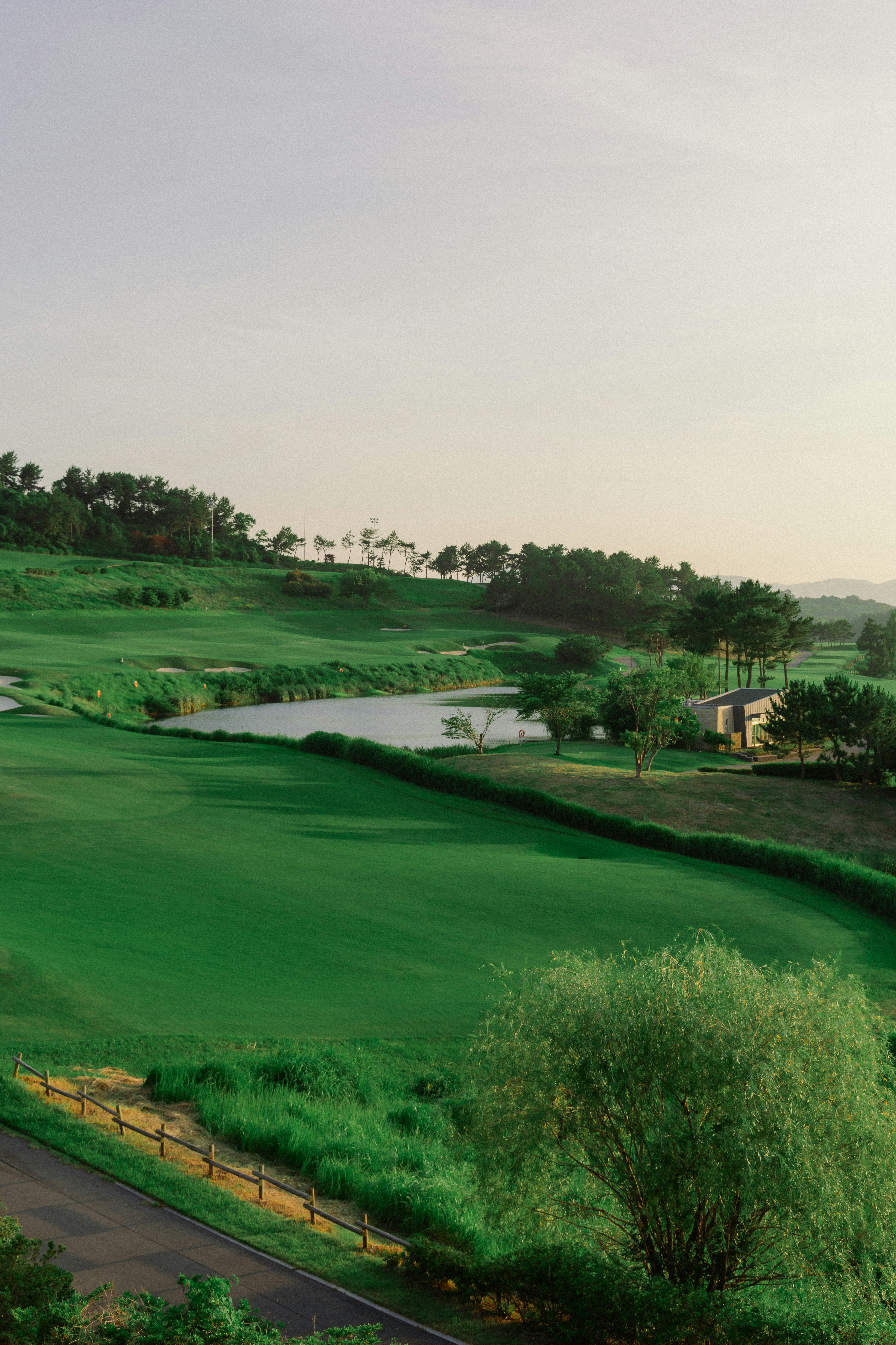 Lush green golf course with a serene pond and trees.
