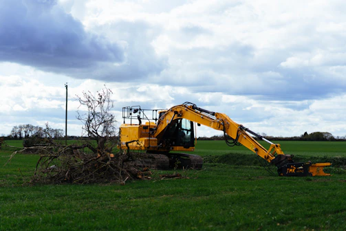 Yellow excavator clearing branches in a grassy field.