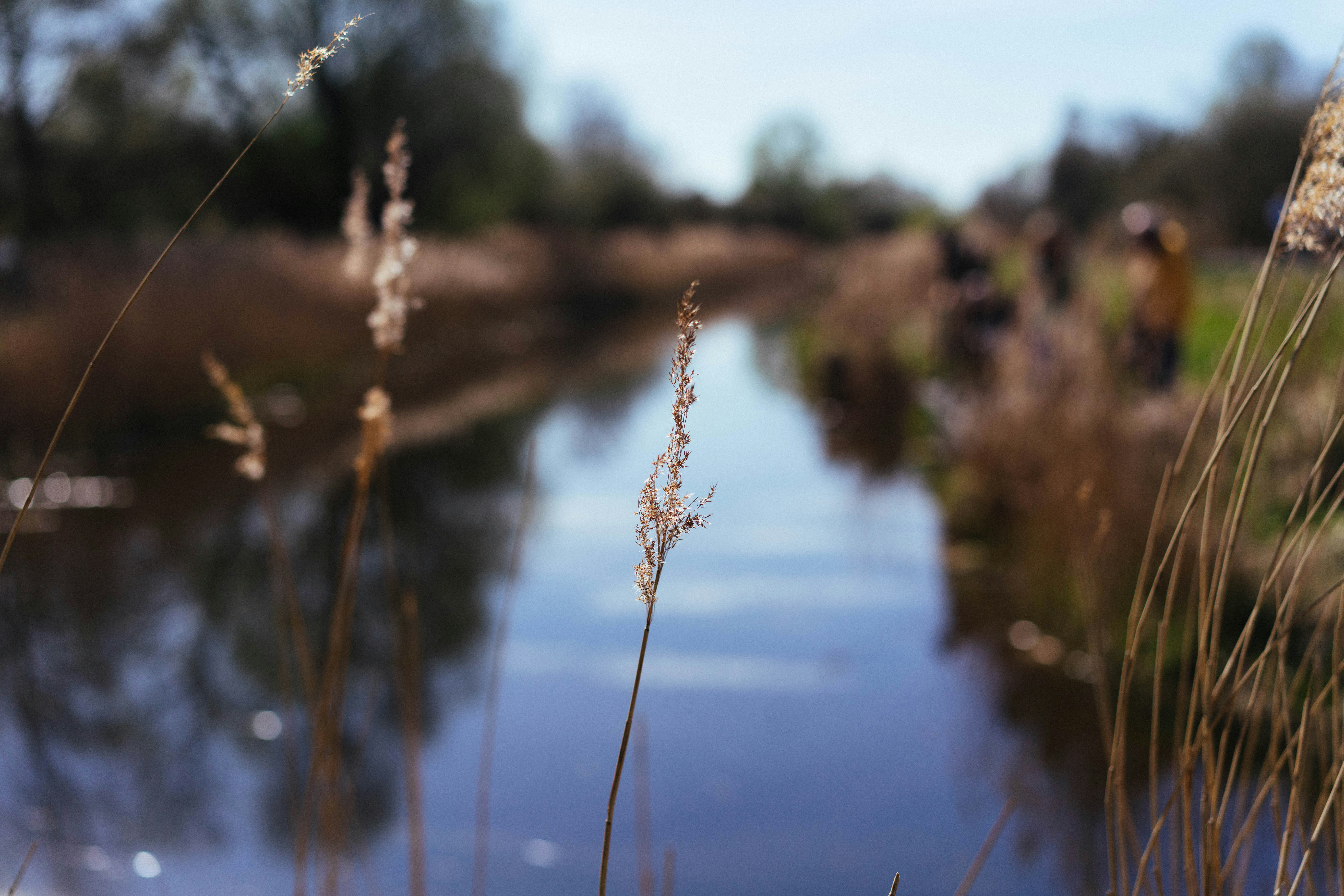 Photo by philhearing