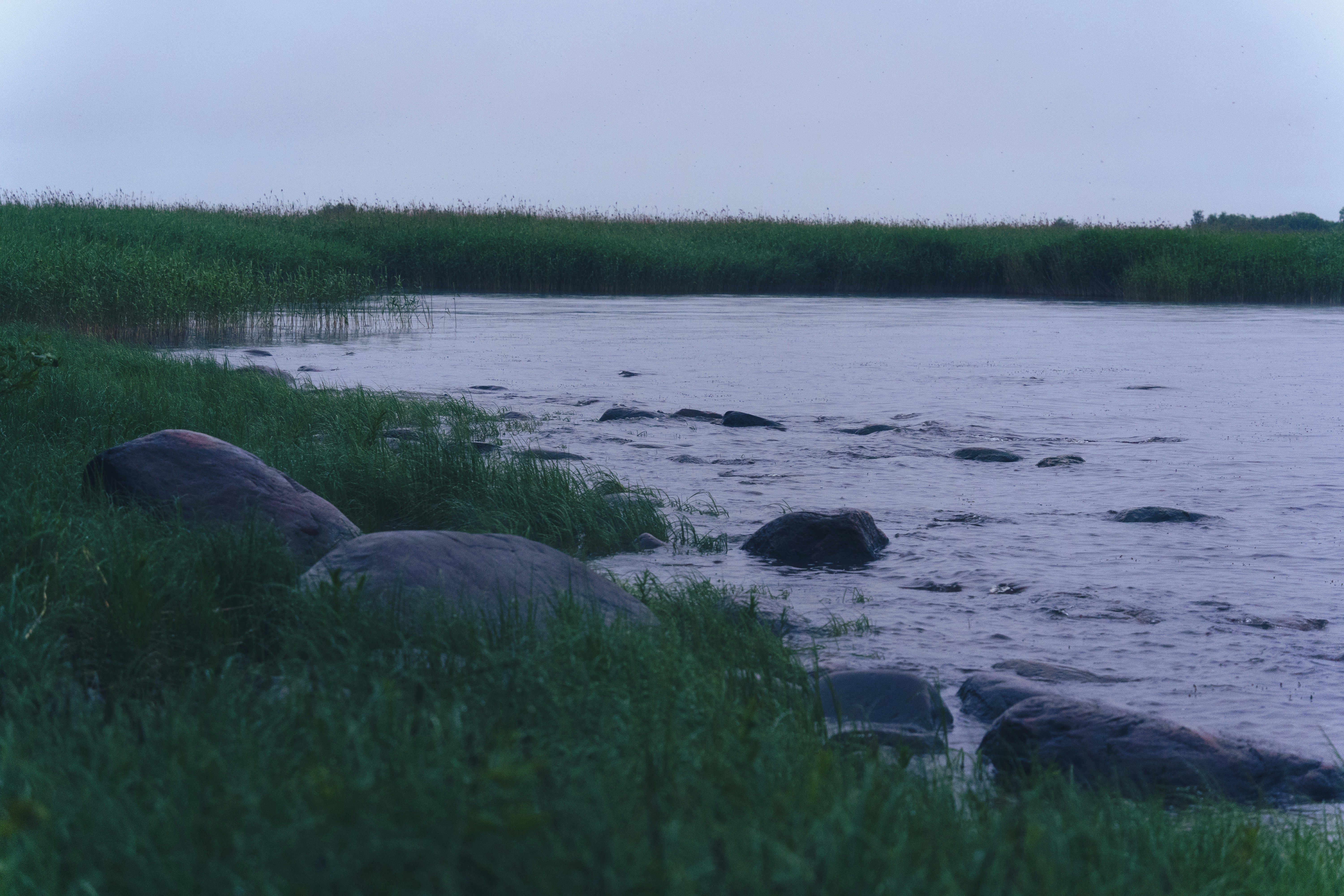 Grassy shore with large rocks and calm water