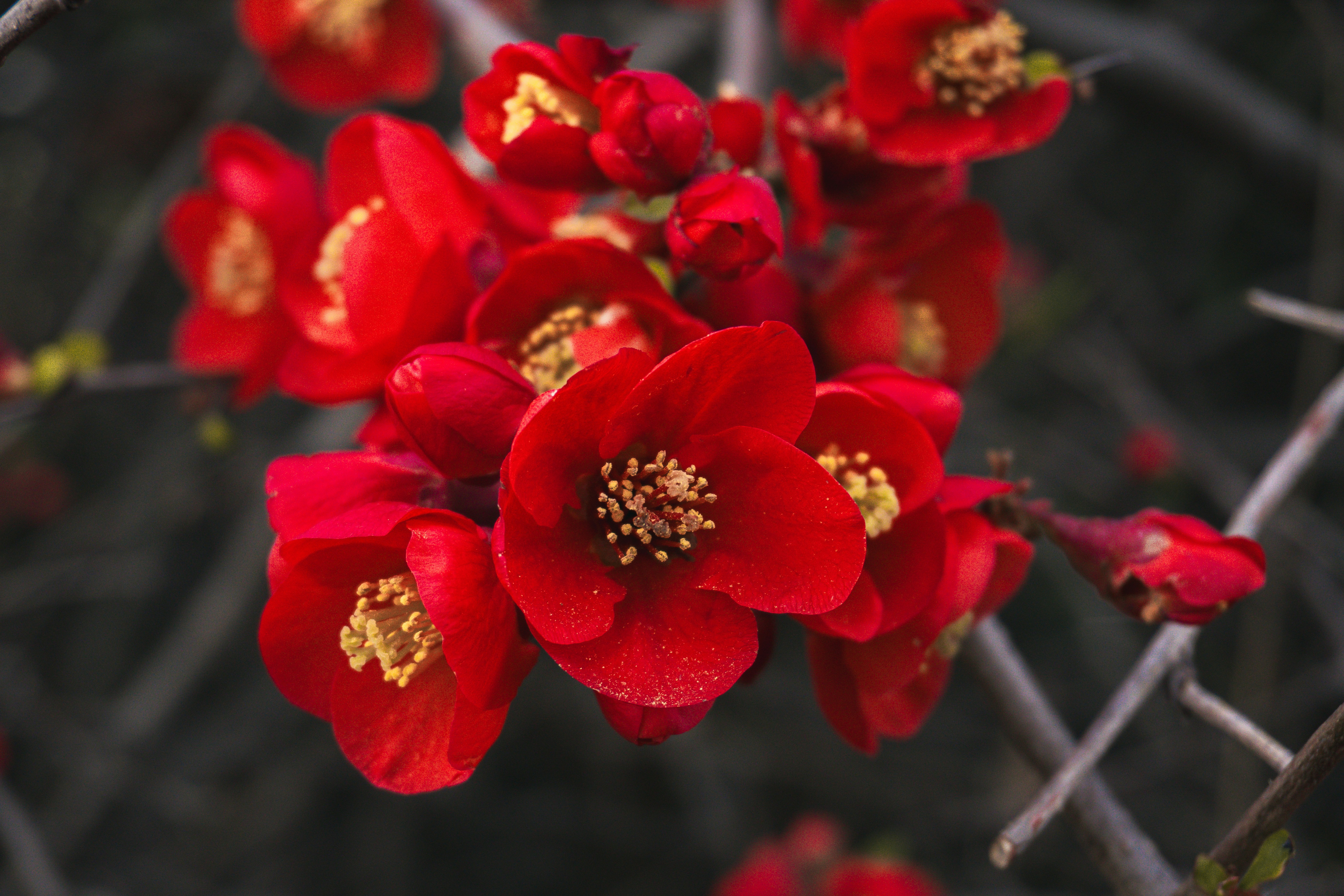 Photo by aliona_zahrai