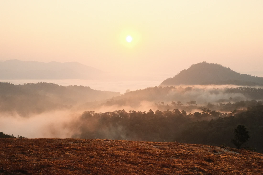 Montañas y bosques entre brumas iluminados por el amanecer