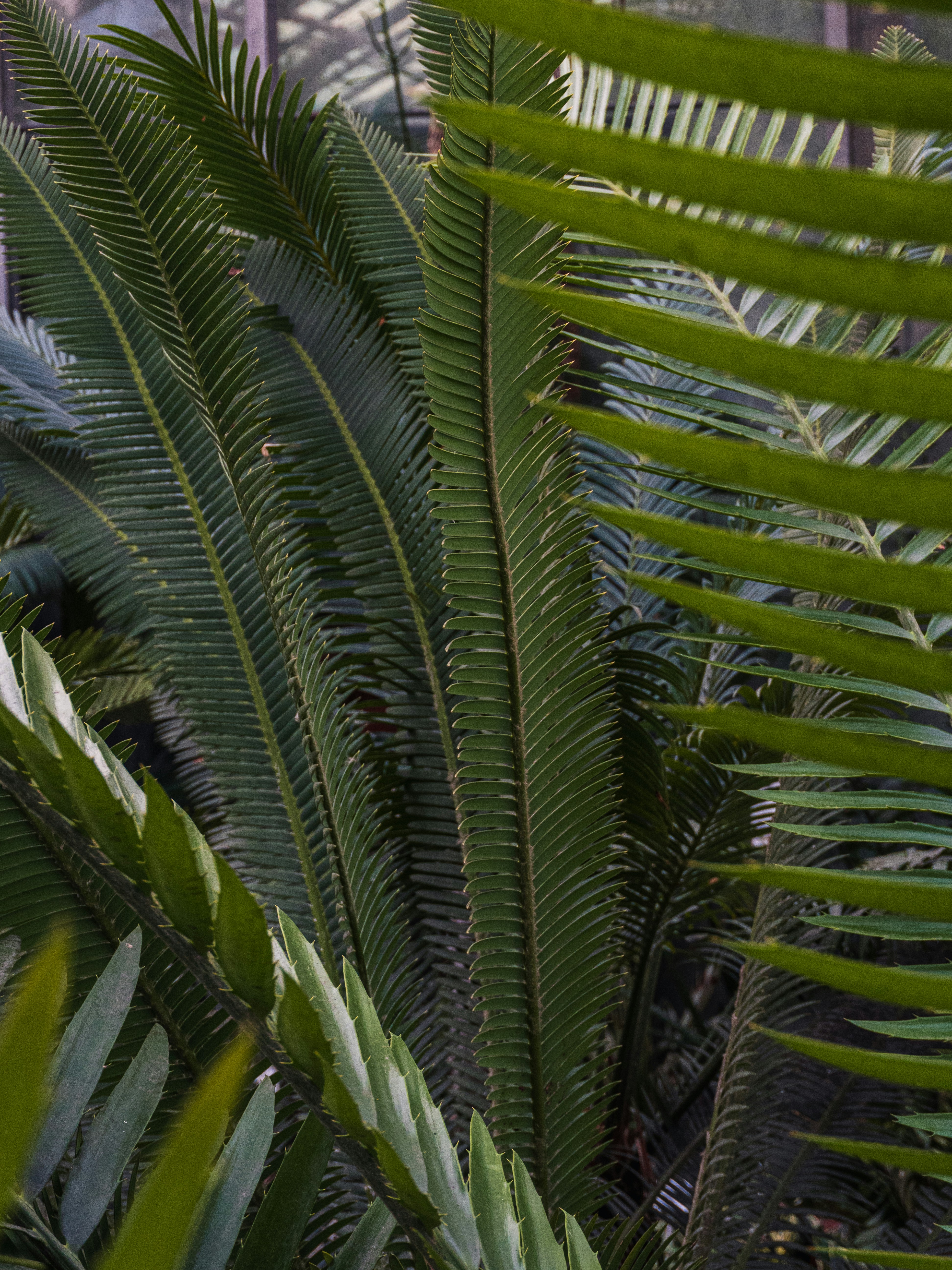 Photo by aliona_zahrai