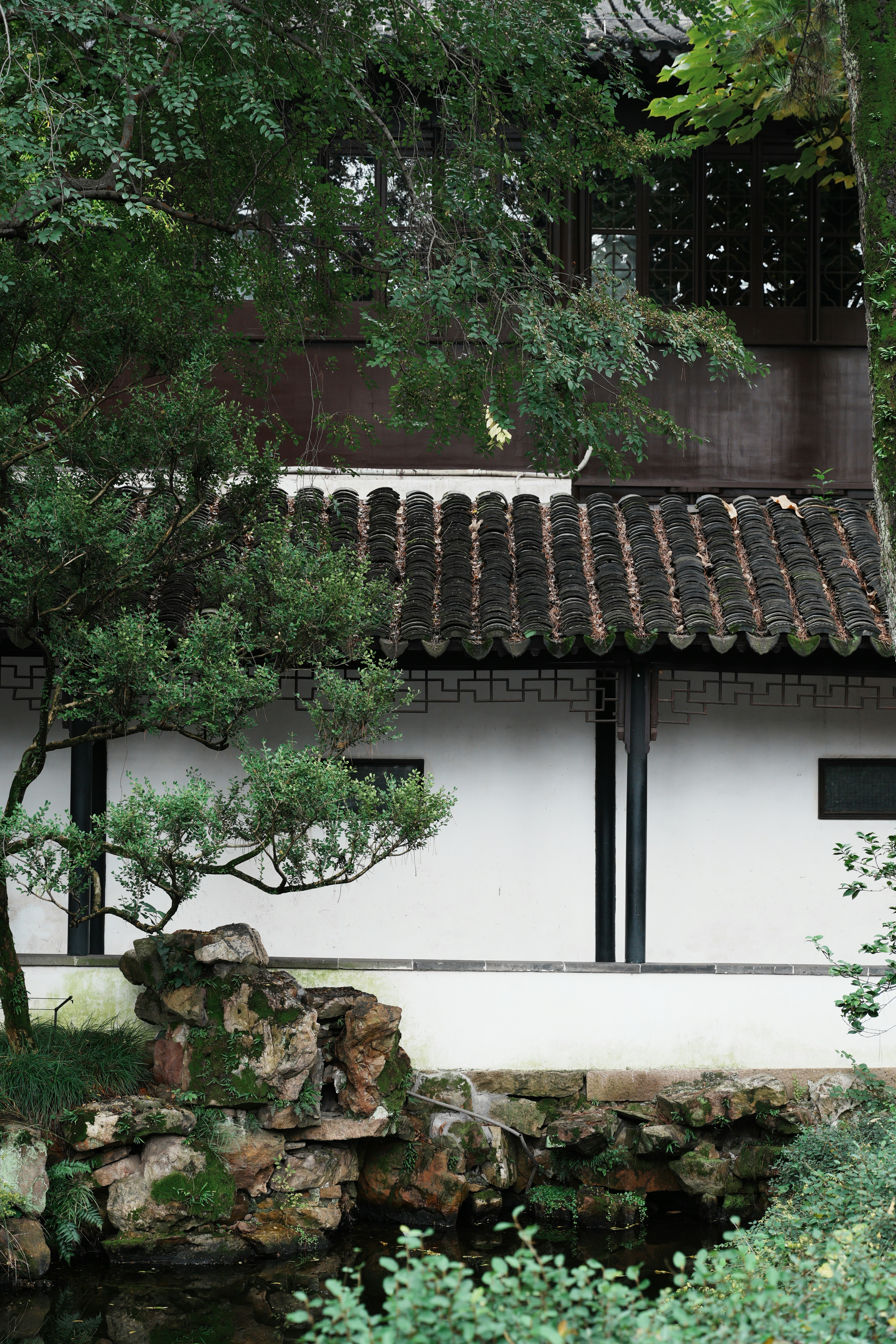 Traditional chinese garden with white walls and tiled roof