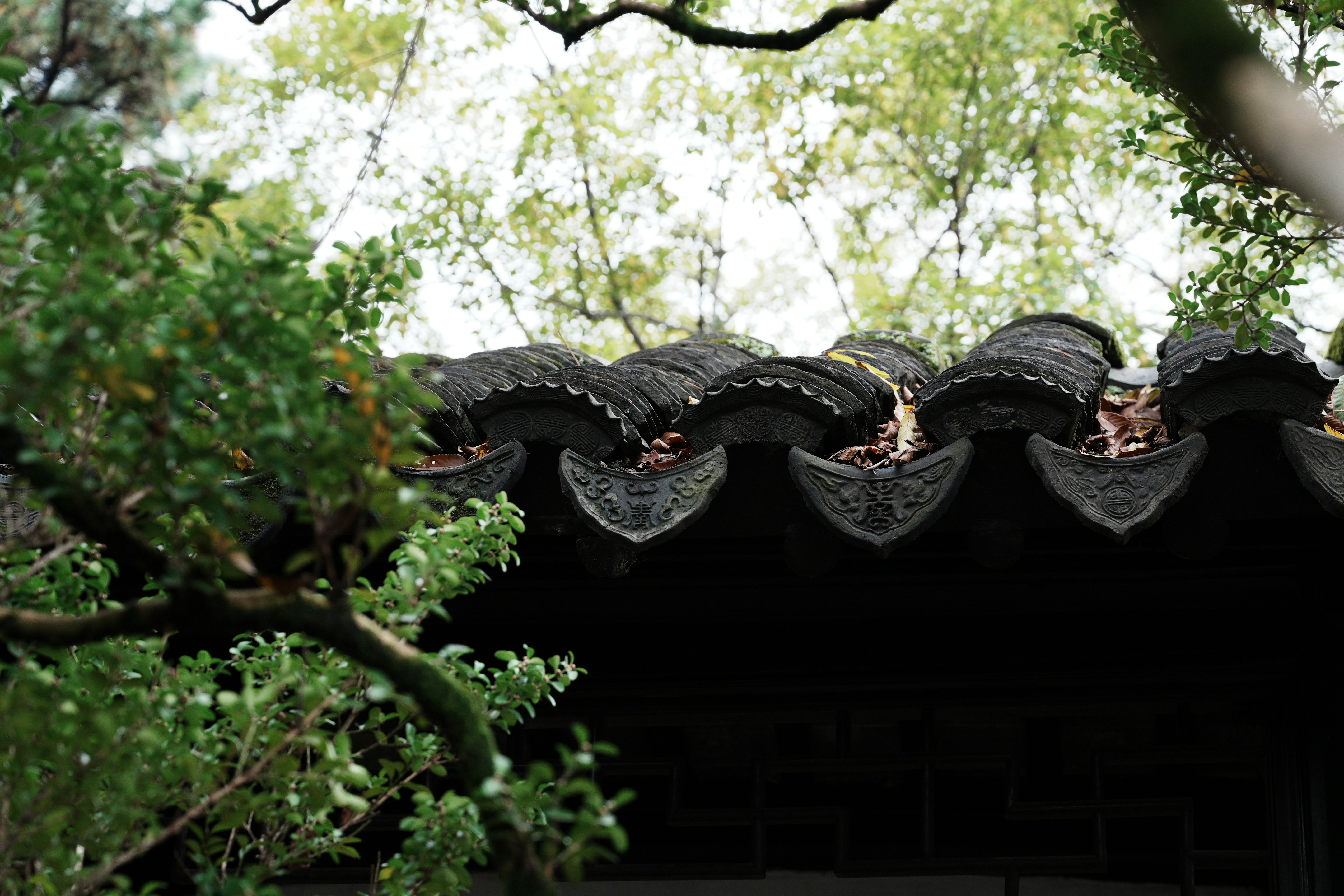 Traditional chinese roof tiles with lush greenery.