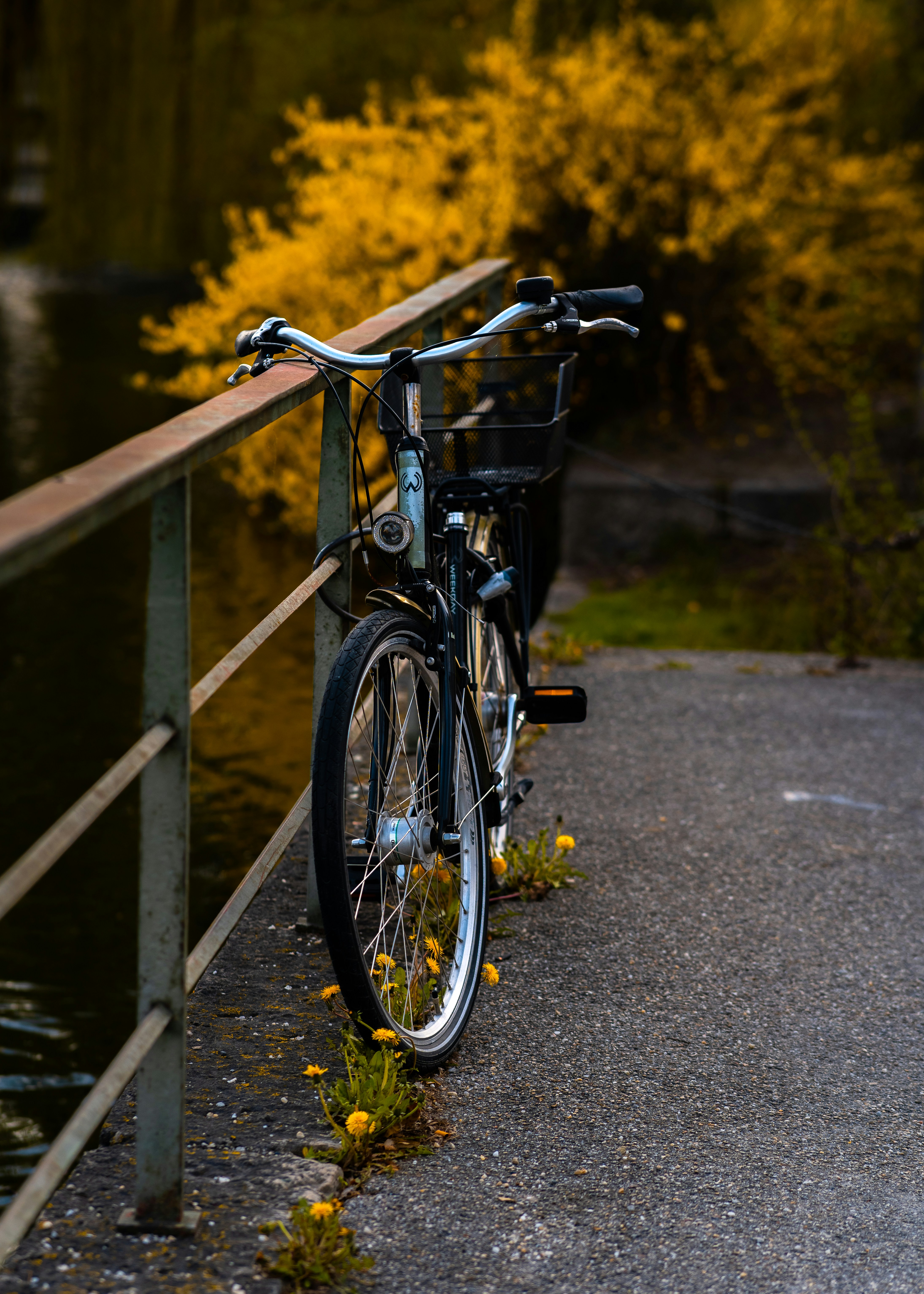 Photo by jahan_photobox