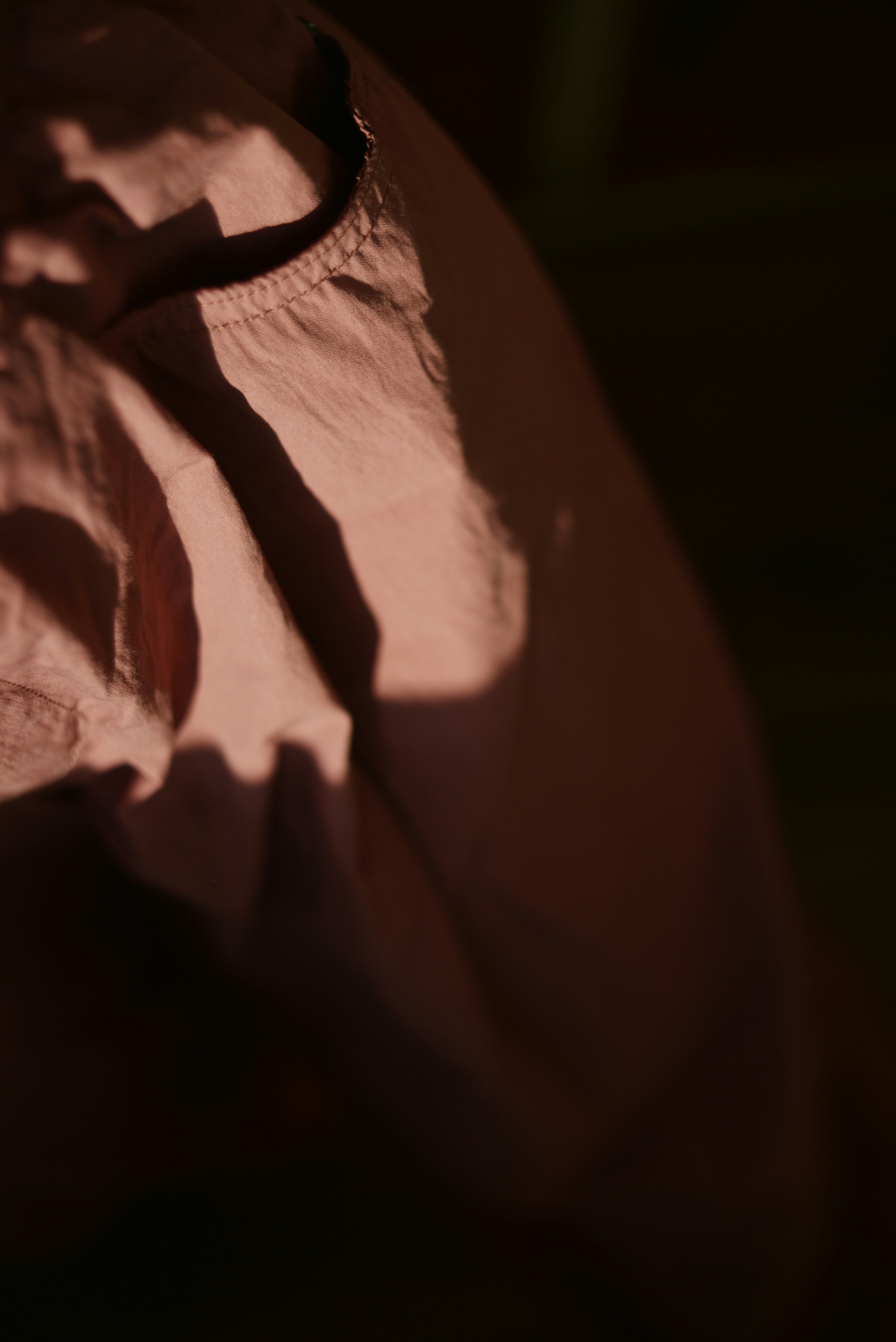 Photo by cherstve_pechivo