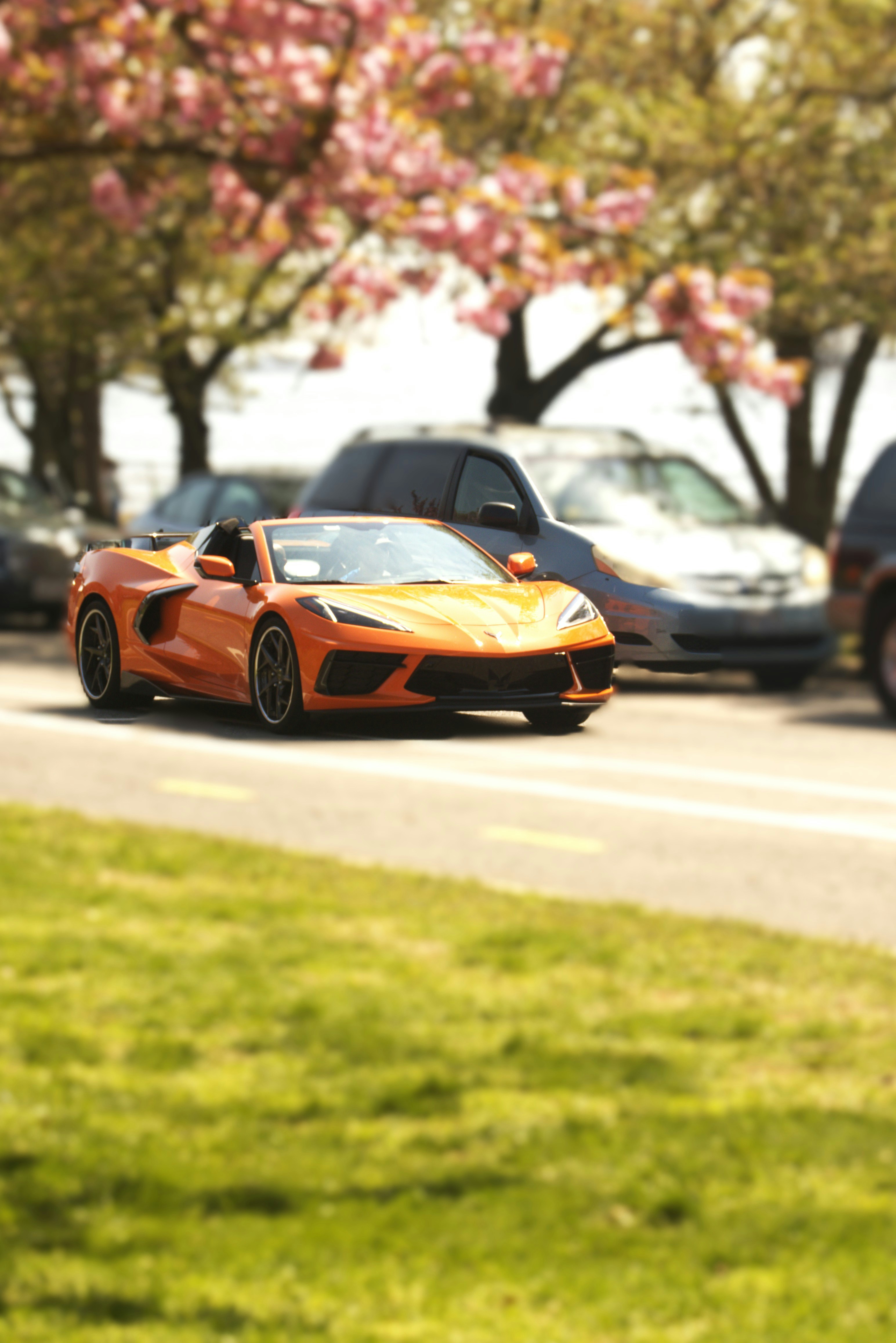 Orange sports car driving on a sunny day